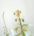 Vintage Earrings  Retro 1960's Gold Tone Daisy Stud Clip On Earrings (Shabby Chic)