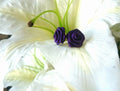 Vintage Fabric Rose Stud Earrings - Purple 1980s Costume Jewelry