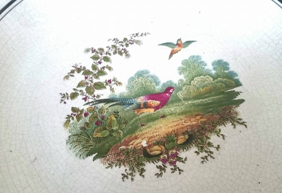 Vintage Victorian Pottery Bowl: Pheasant Hunting Scene, Floral Border