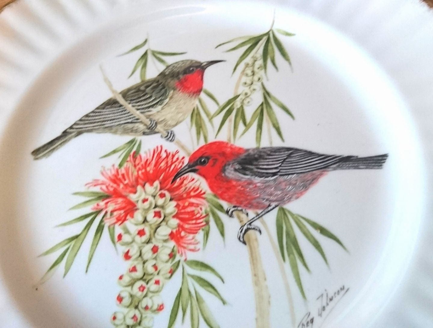 Vintage Collectable Plate Royal Vale Bird Scarlet Honeyeater Display Plate Birds of the World Collection