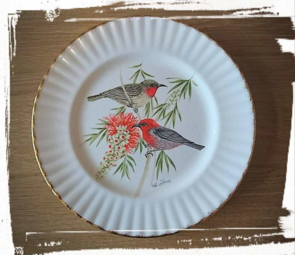 Vintage Collectable Plate Royal Vale Bird Scarlet Honeyeater Display Plate Birds of the World Collection