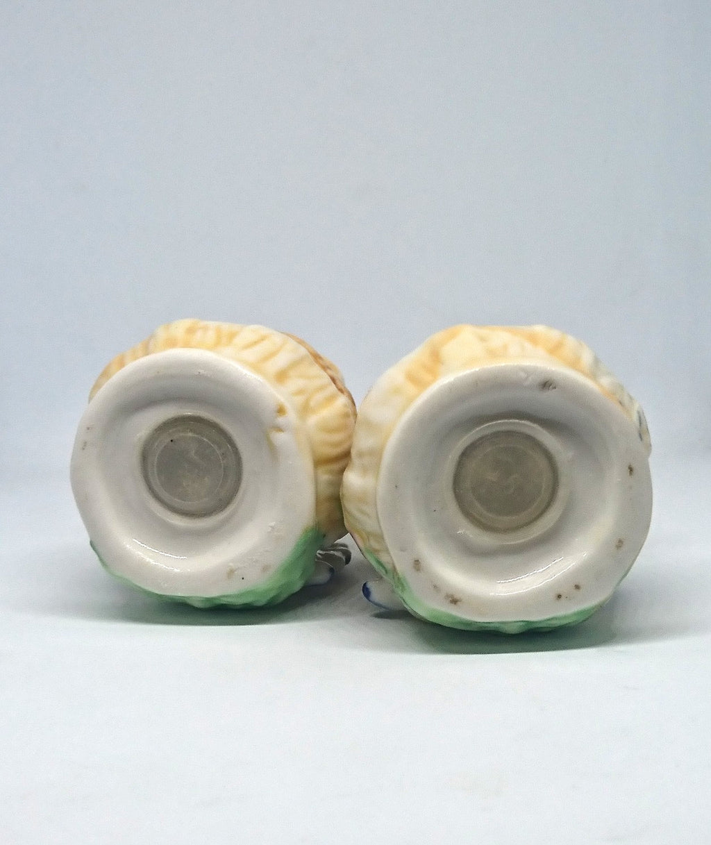 Vintage Duck Salt and Pepper Shakers with Matching Jars