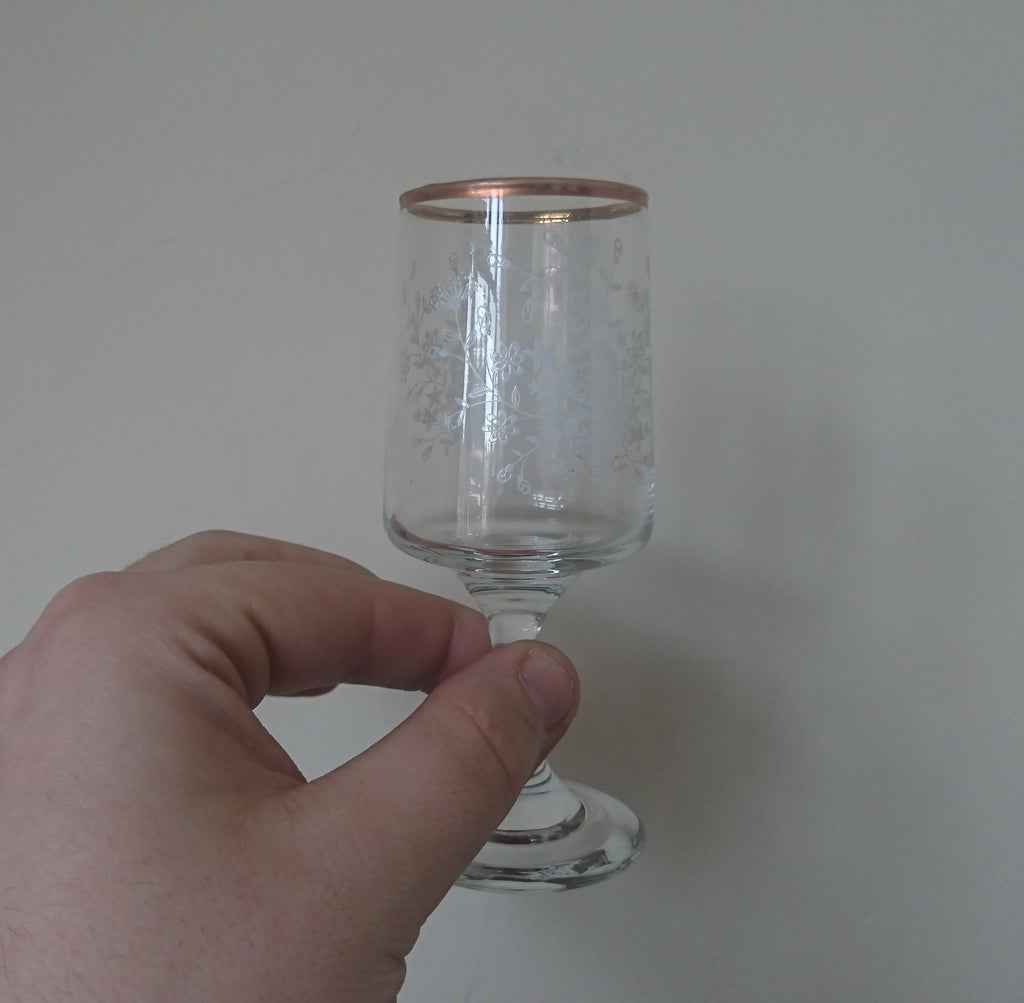 Vintage Dema Floral Sherry Glasses, 1960s Barware Set