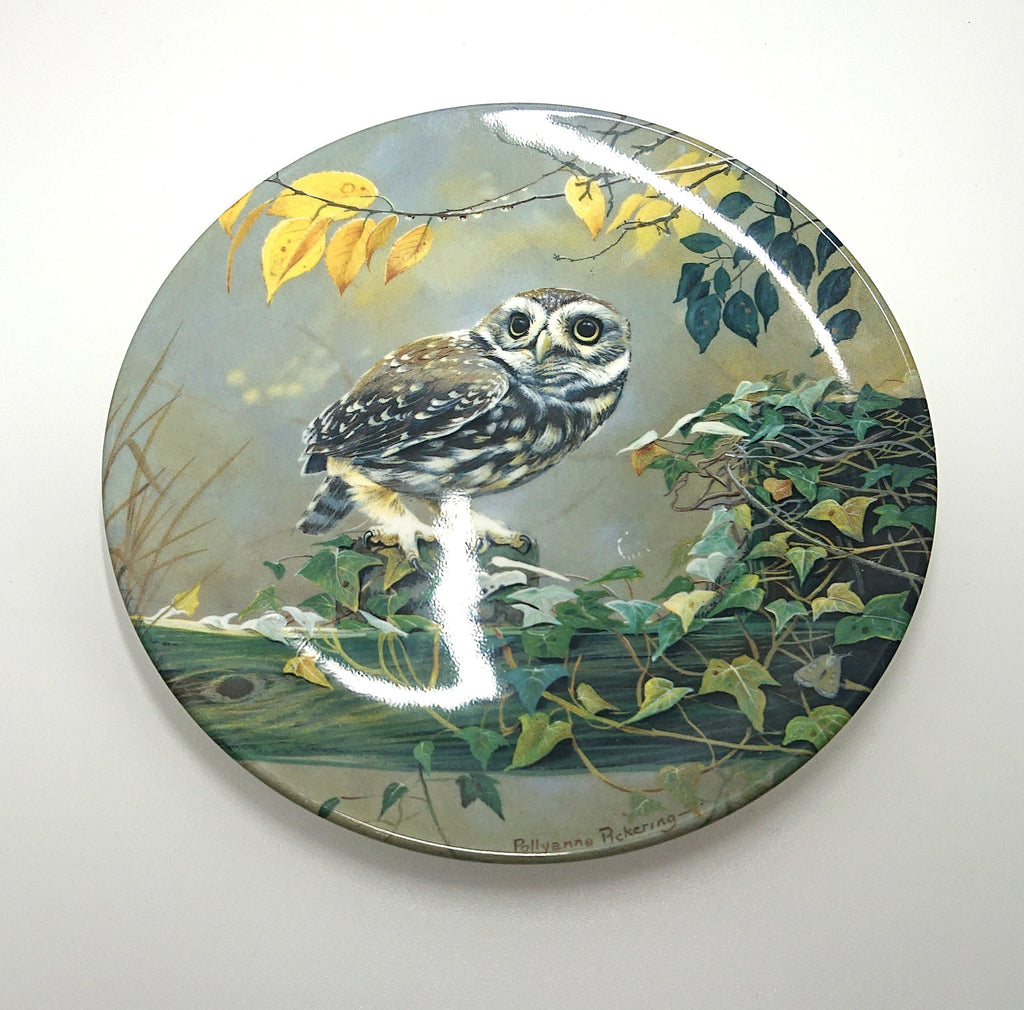 Vintage Owl Collectable Plate Limited Edition Pause for Thought Royal Doulton Wall Plate