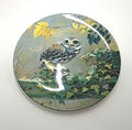 Vintage Owl Collectable Plate Limited Edition Pause for Thought Royal Doulton Wall Plate