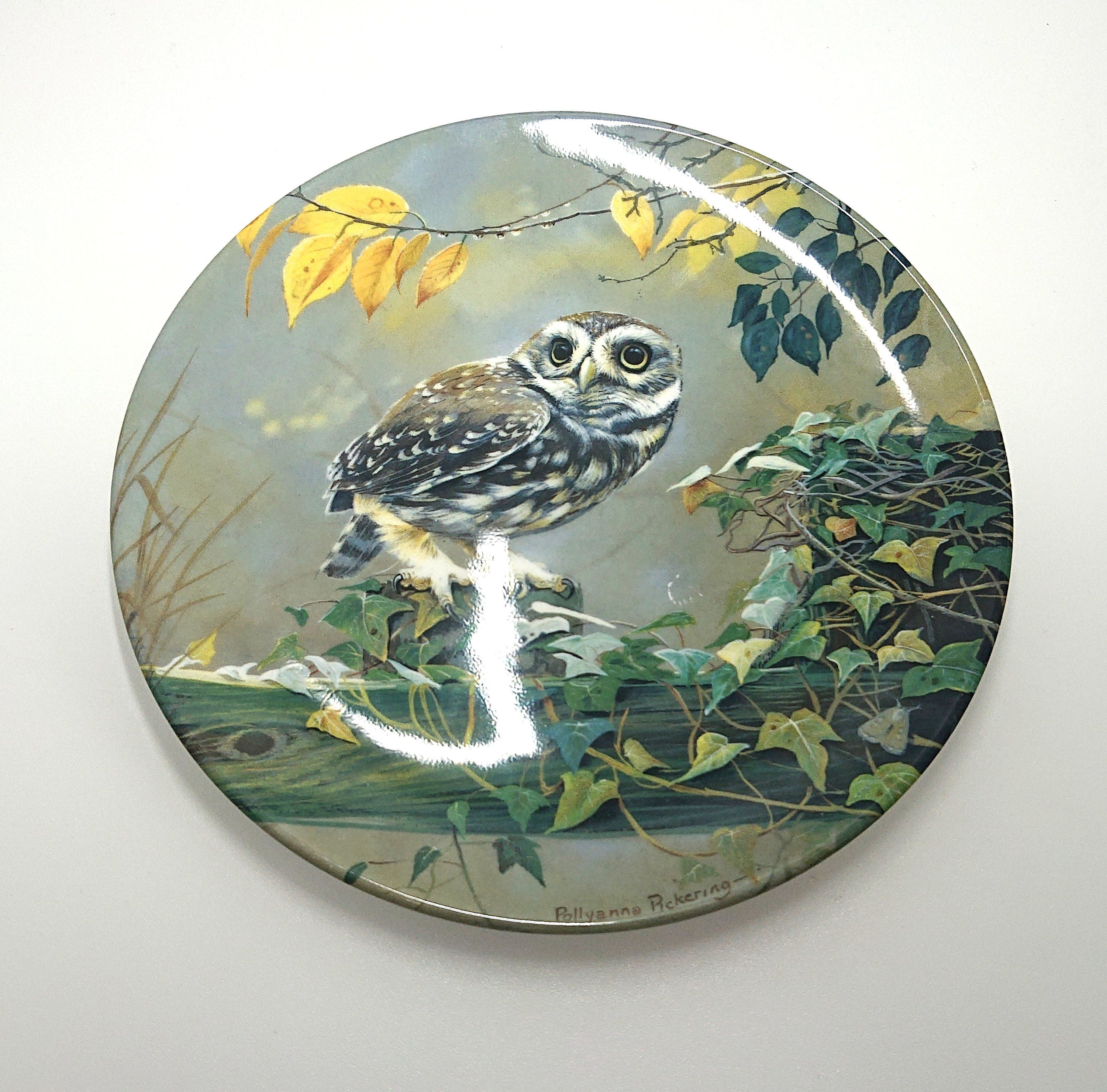 Vintage Owl Collectable Plate Limited Edition Pause for Thought Royal Doulton Wall Plate