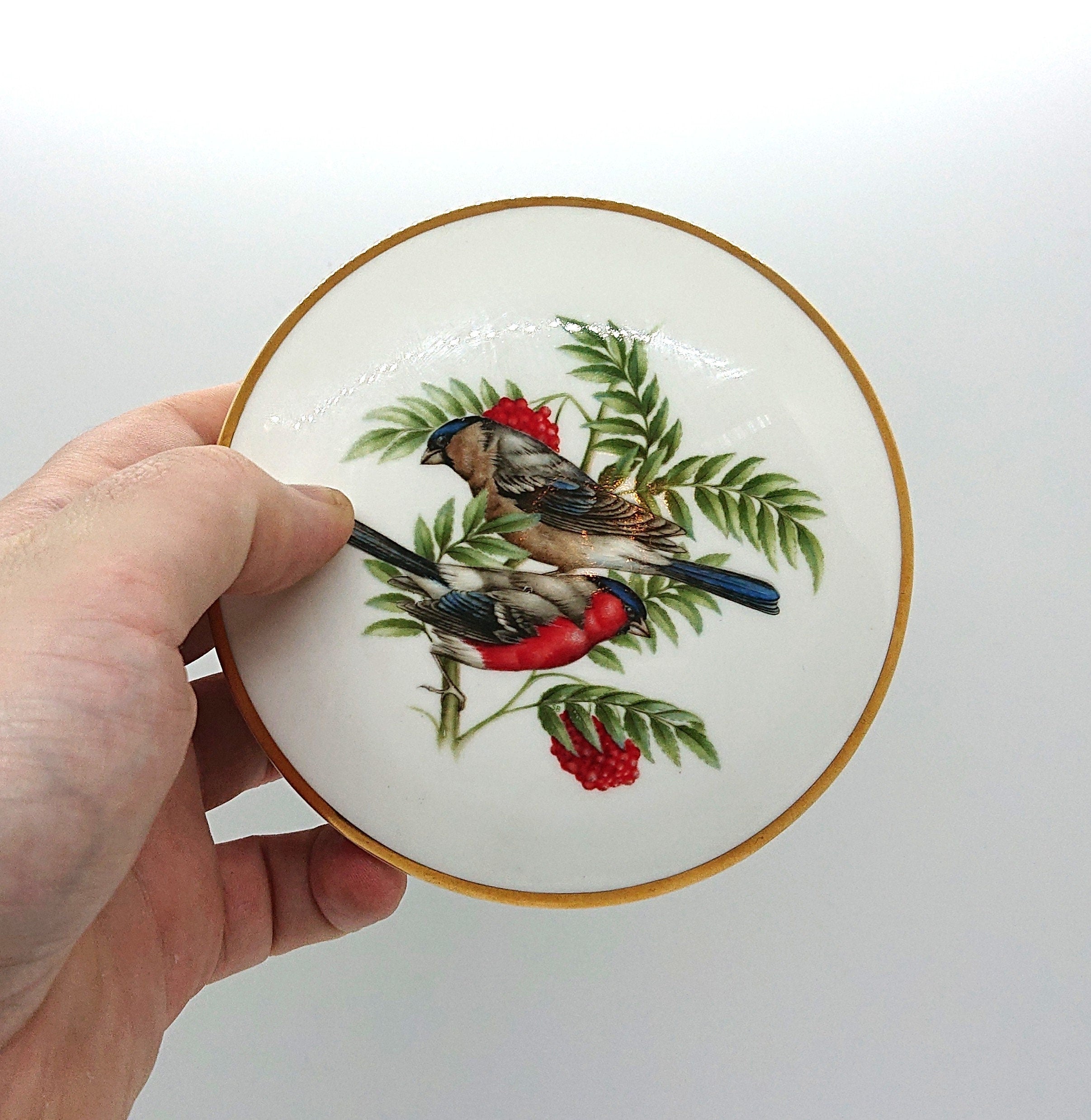 Vintage Coalport Bullfinch Trinket Dish, British Bird Bone China Jewelry Tray