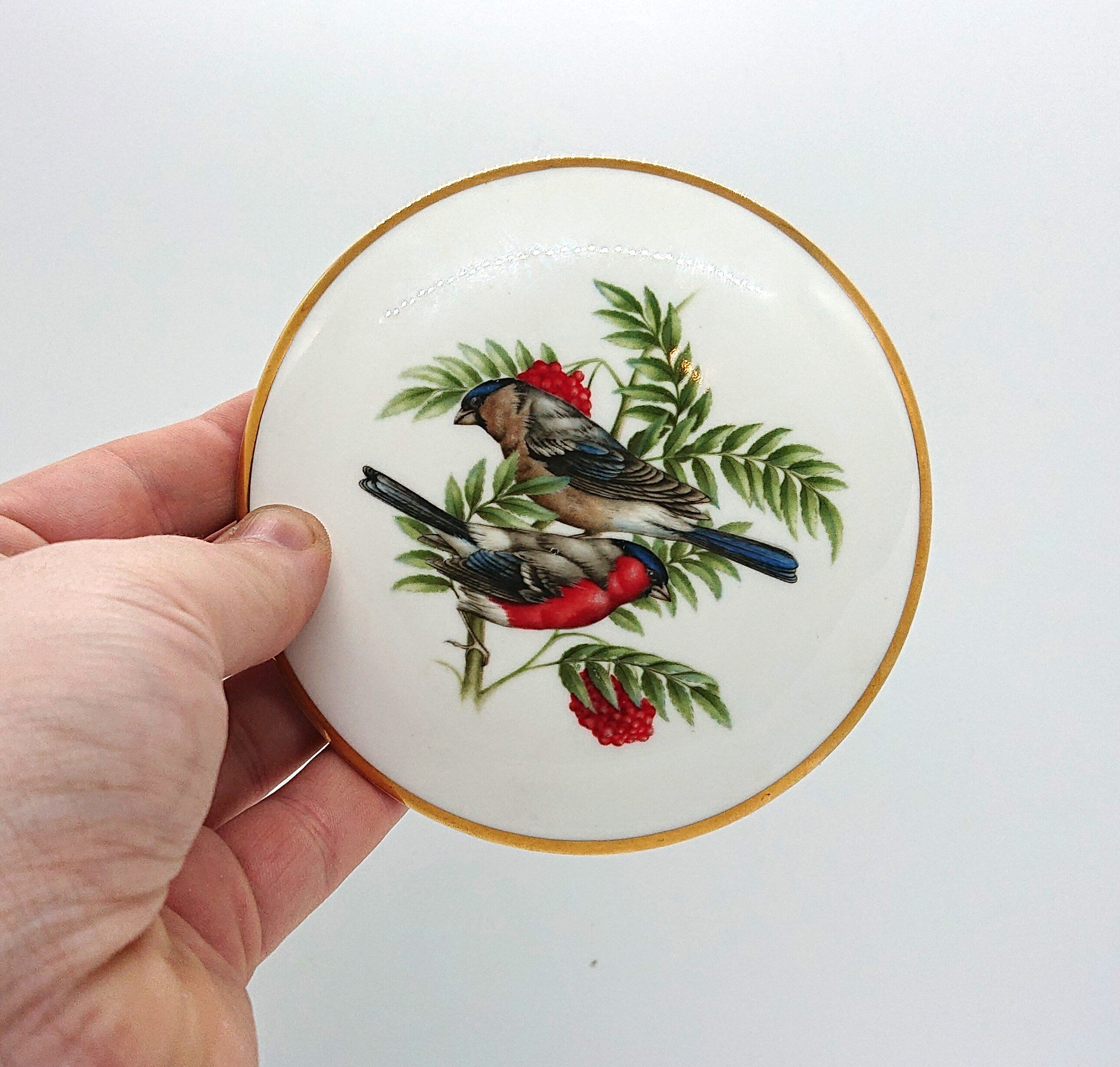 Vintage Coalport Bullfinch Trinket Dish, British Bird Bone China Jewelry Tray