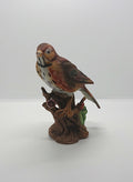 Vintage Bird Figurine on Branch Wood Thrush Collectable Bird Ornament Porcelaine