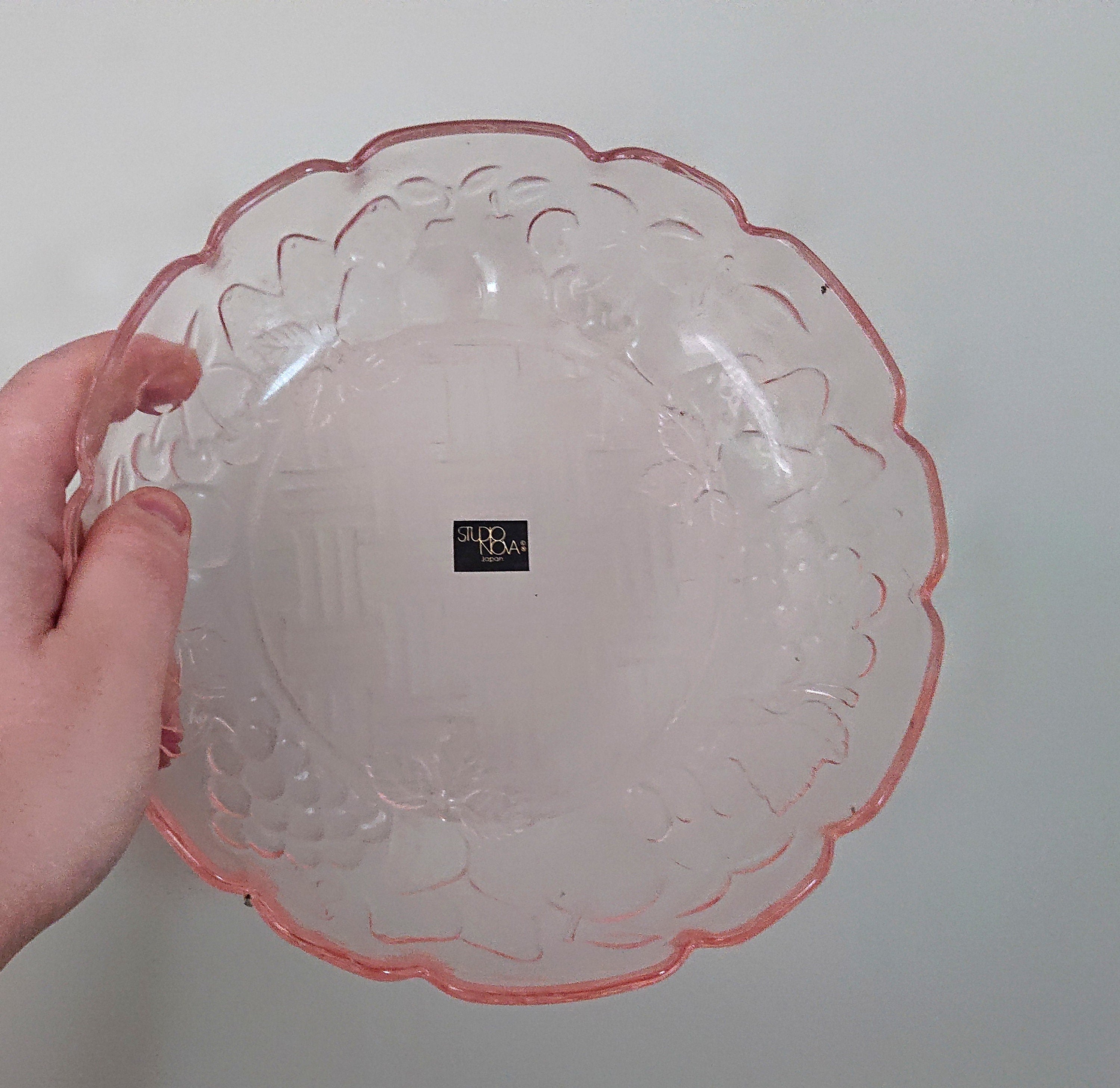 Vintage Dish Studio Nova Boxed Pink Fruit Bowl, Key Dish Glass Bowl Serving Bowl Floral Serving Dish