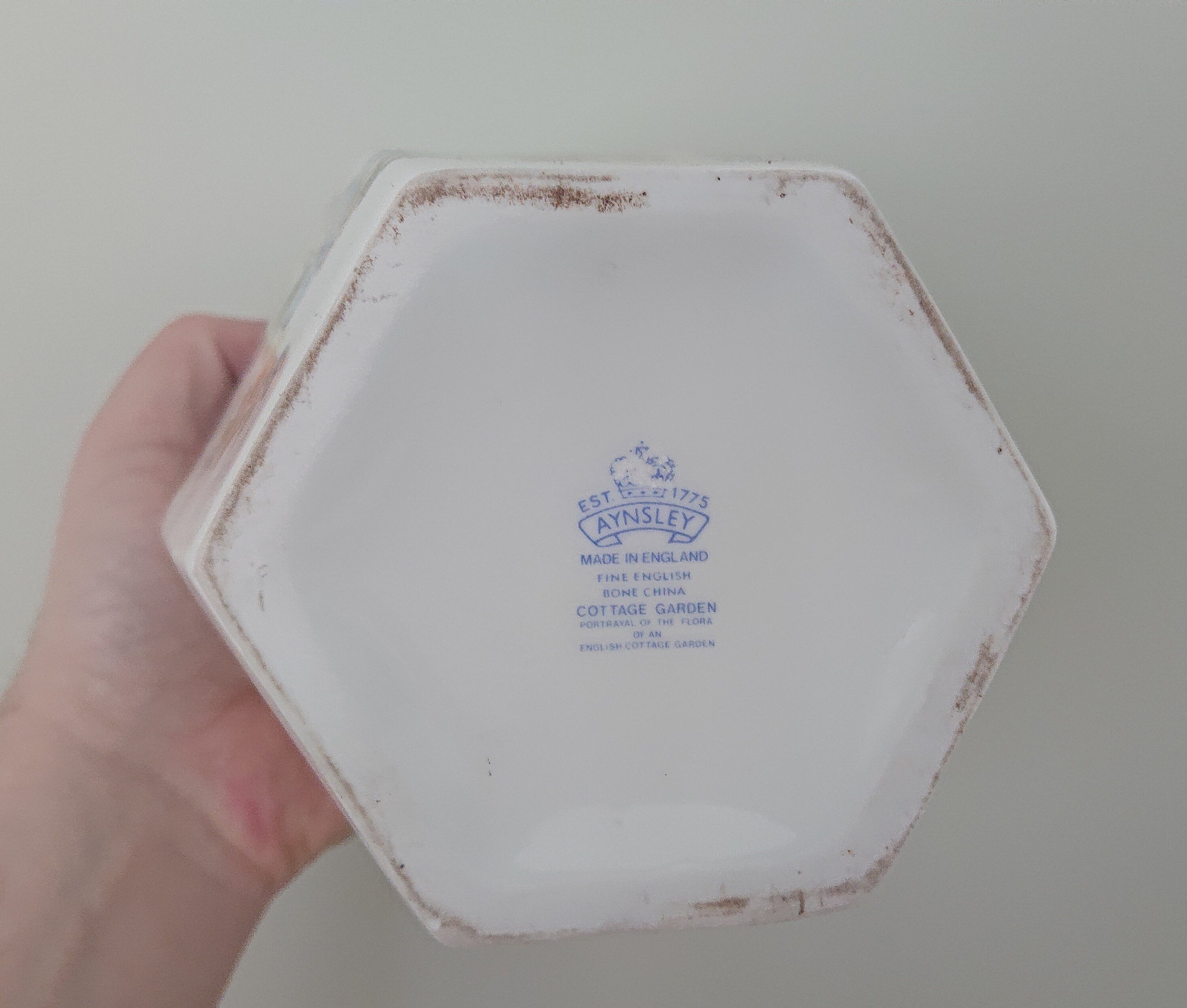 Large Ginger Jar & Lid Cottage Garden Aynsley Fine Bone China Porcelain Made in England Cottage Garden Pattern Collectable Gift Vintage