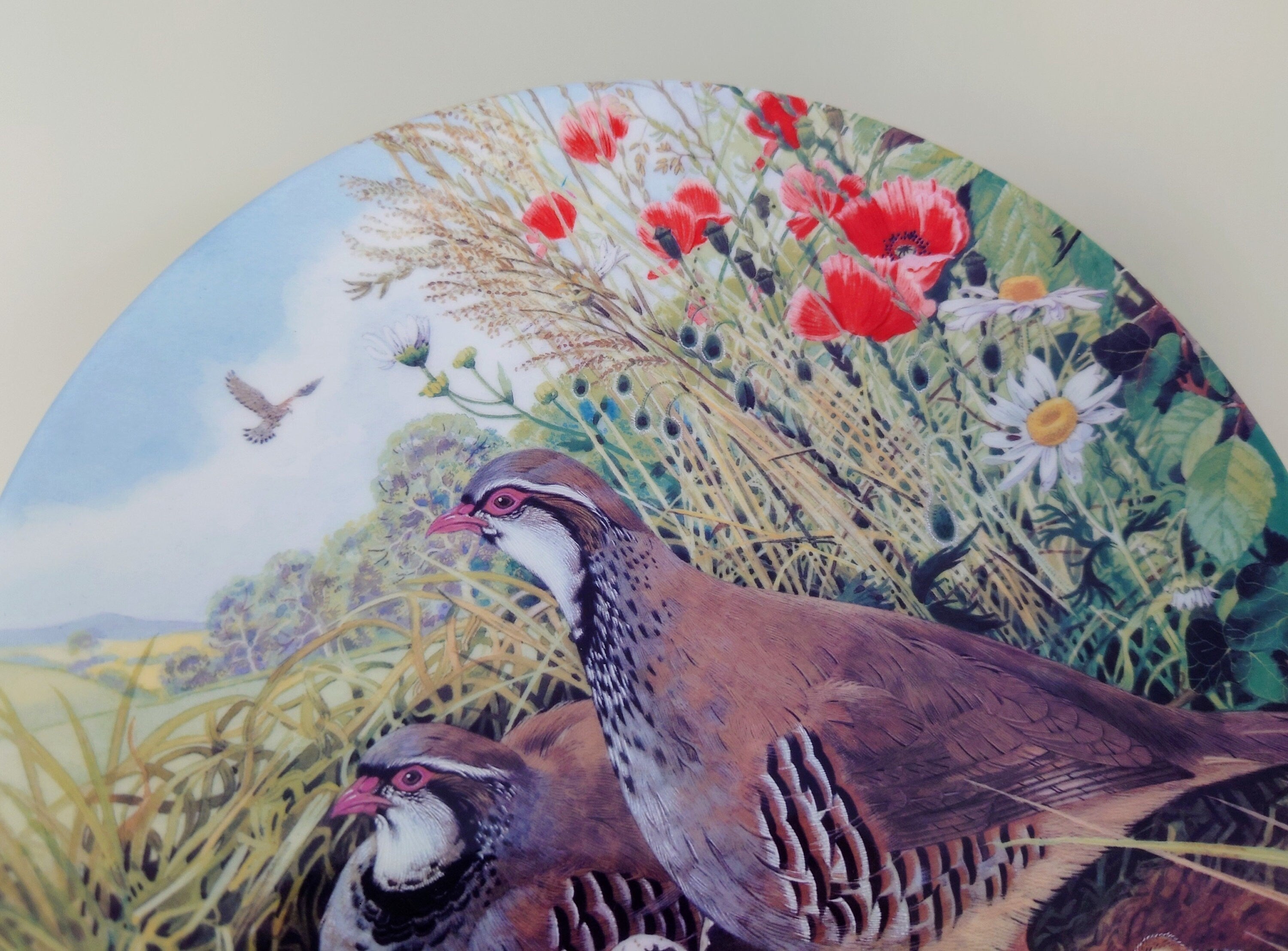 Vintage Bird Decorative Royal Grafton Red legged Partridge Ceramic Plate  Fine Bone China Porcelain