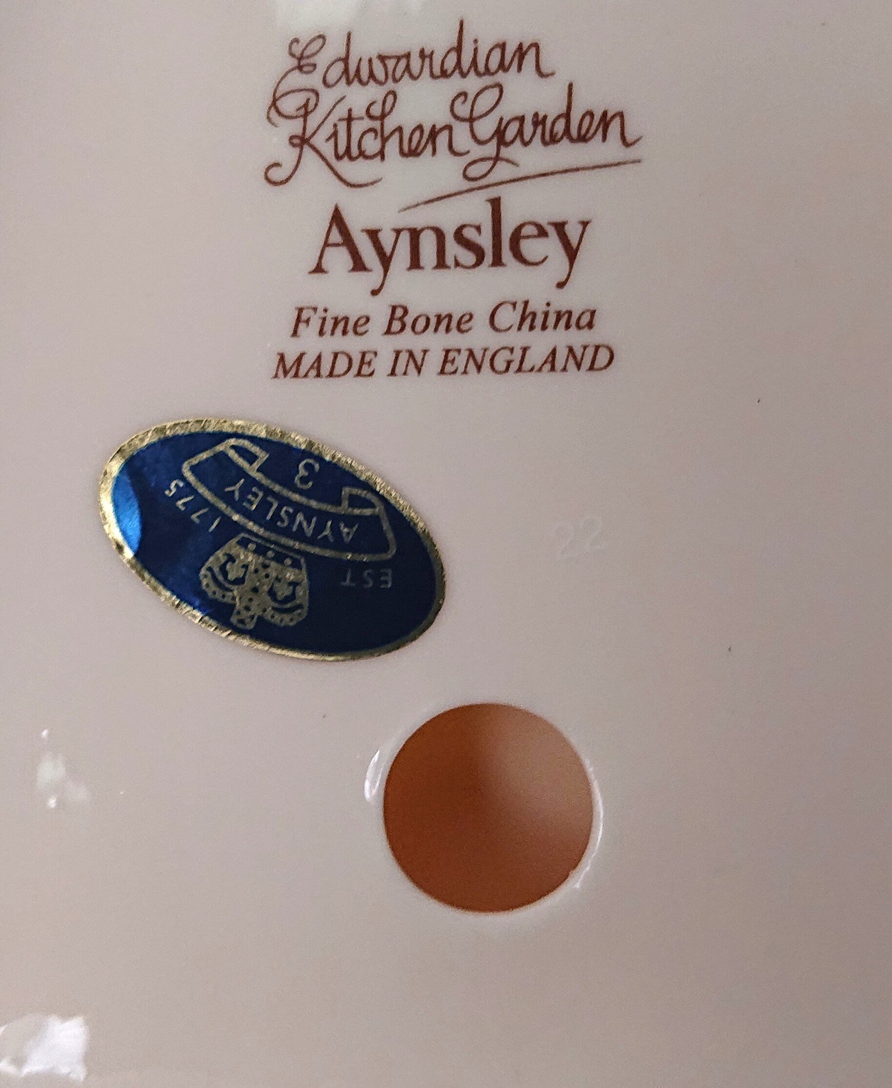 Aynsley Ceramic Flat Iron Edwardian Kitchen Garden Fine Bone China Porcelain Made in England Pattern Collectable Gift Vintage