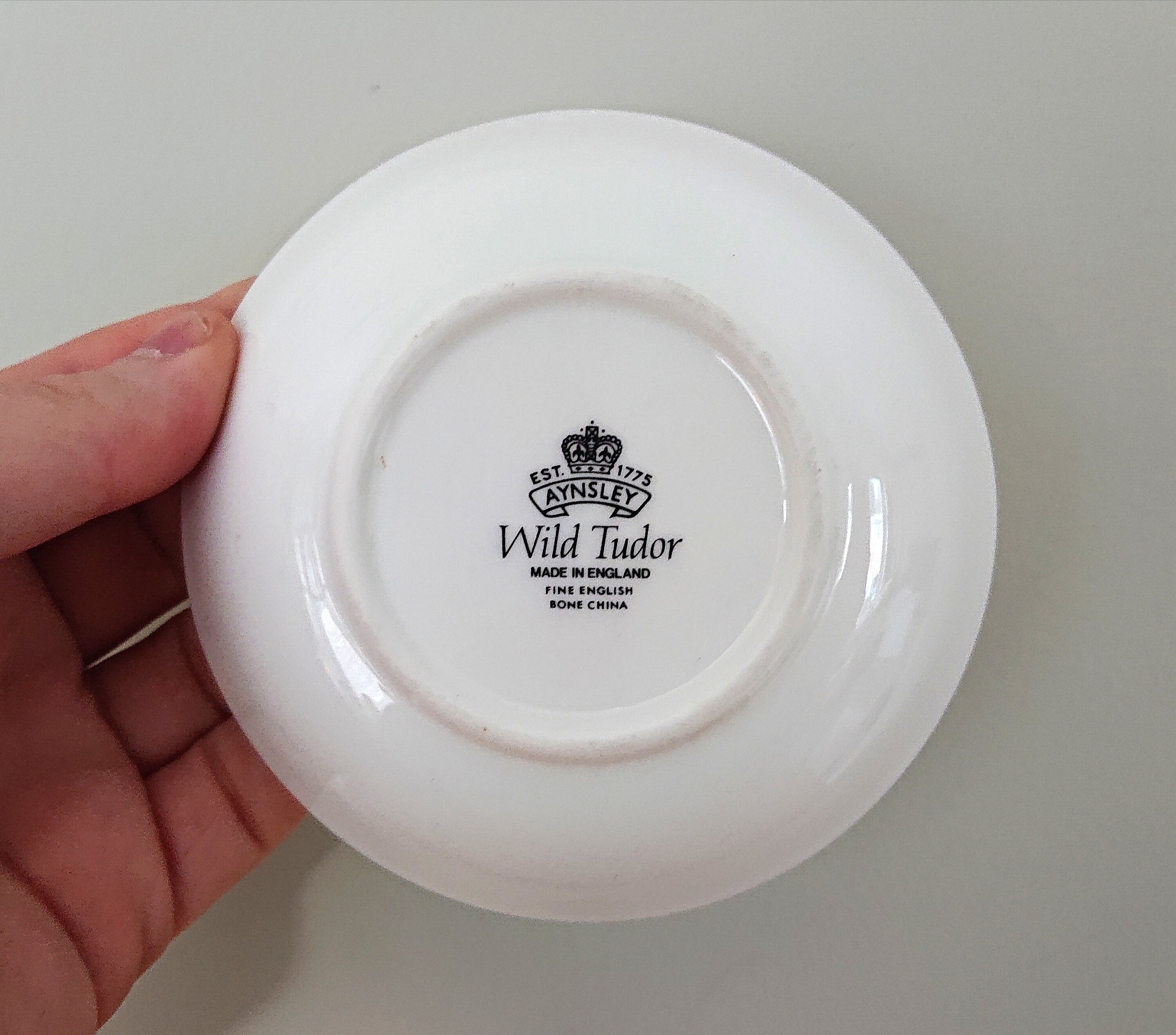 Coaster Wild Tudor Fine Bone China Porcelain Made in England Wild Tudor Pattern Collectable Vintage Plate