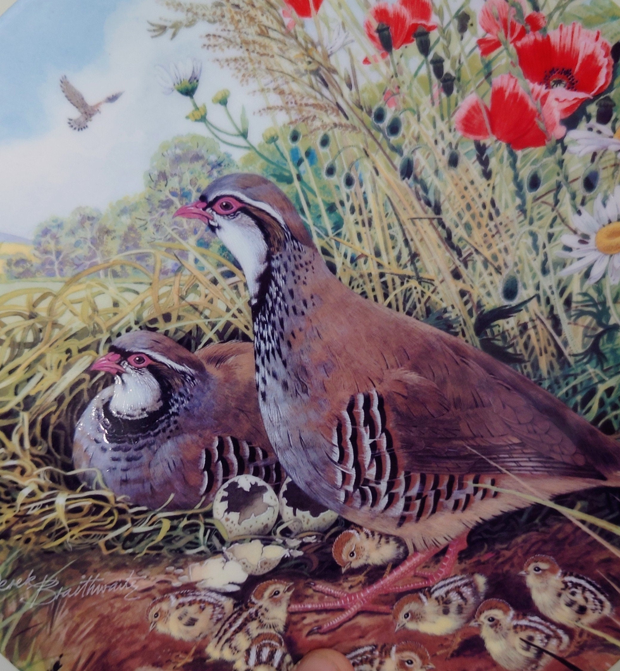 Vintage Bird Decorative Royal Grafton Red legged Partridge Ceramic Plate  Fine Bone China Porcelain