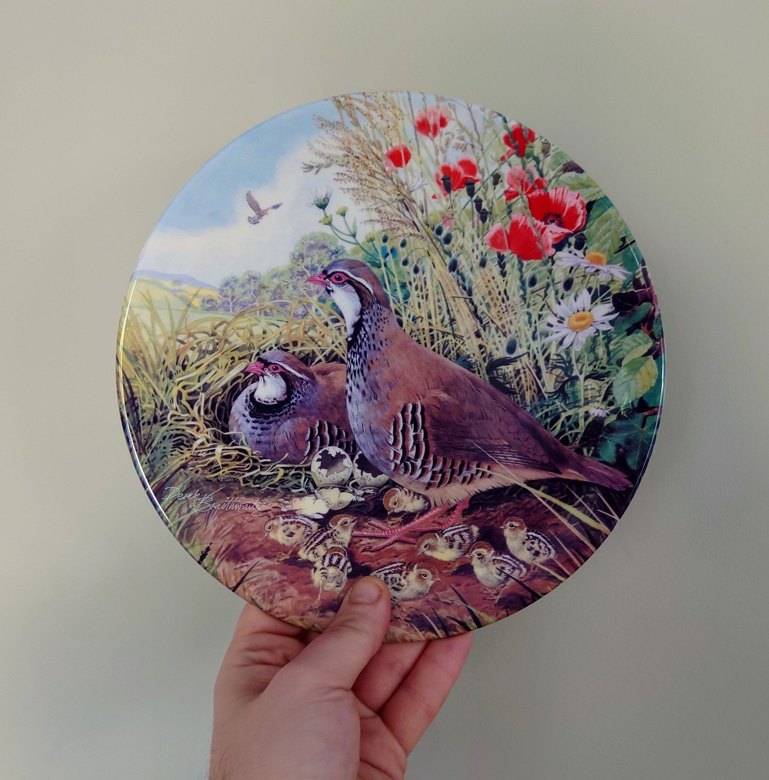 Vintage Bird Decorative Royal Grafton Red legged Partridge Ceramic Plate  Fine Bone China Porcelain