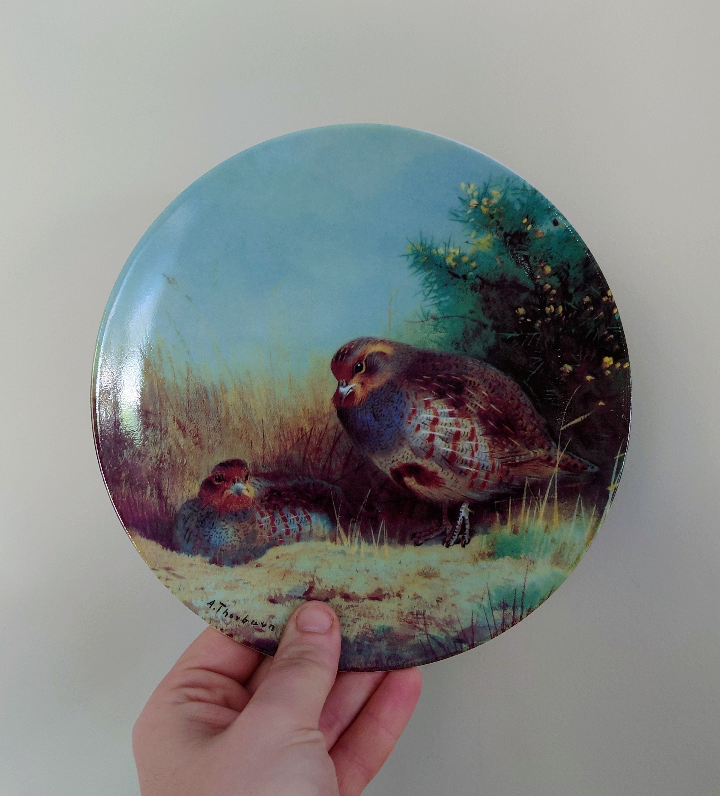 Vintage Bird Decorative Partridges in a summer health  Wall Ceramic Plate  Fine Bone China Porcelain The Bradford Exchange