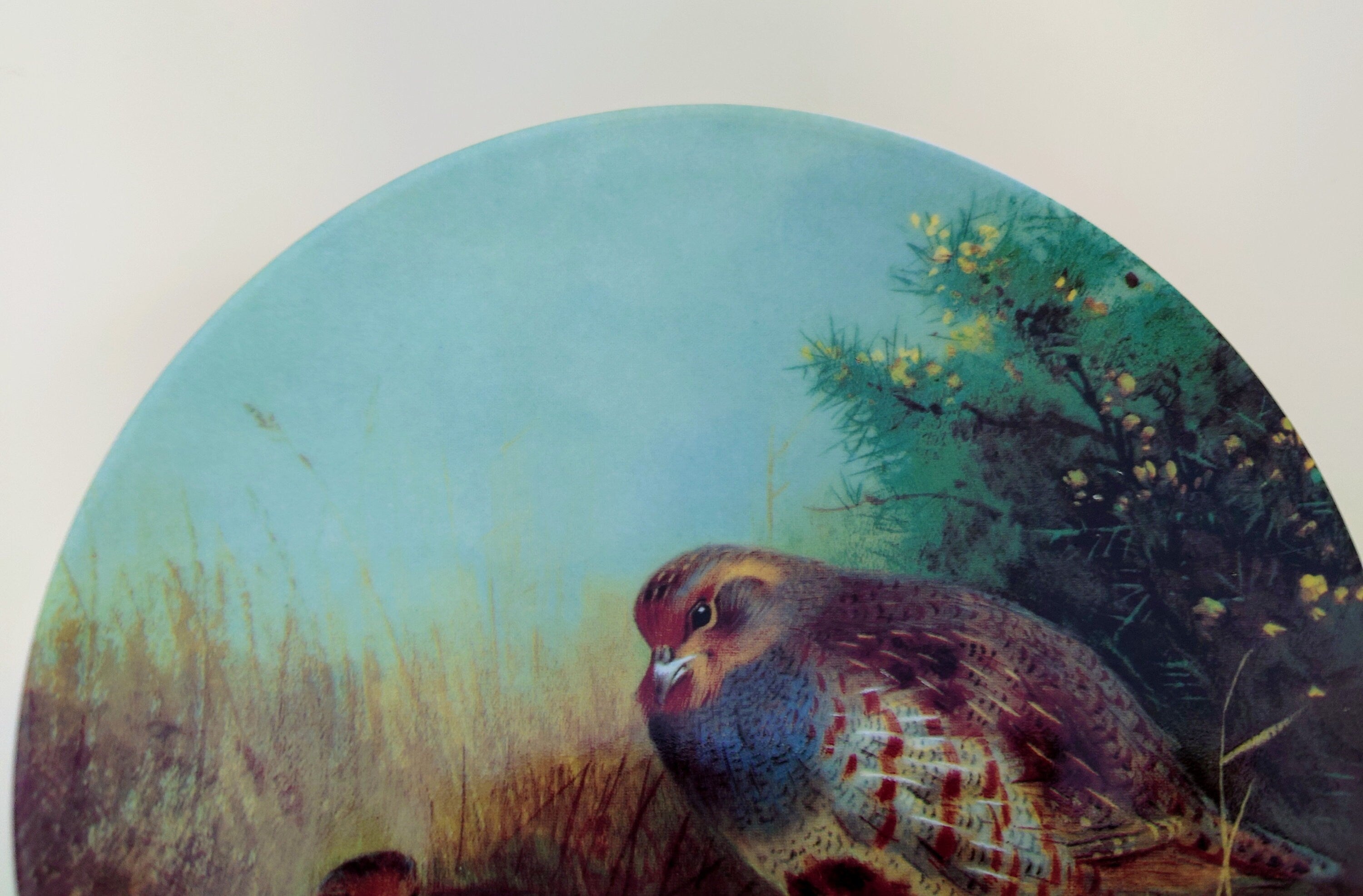Vintage Bird Decorative Partridges in a summer health  Wall Ceramic Plate  Fine Bone China Porcelain The Bradford Exchange