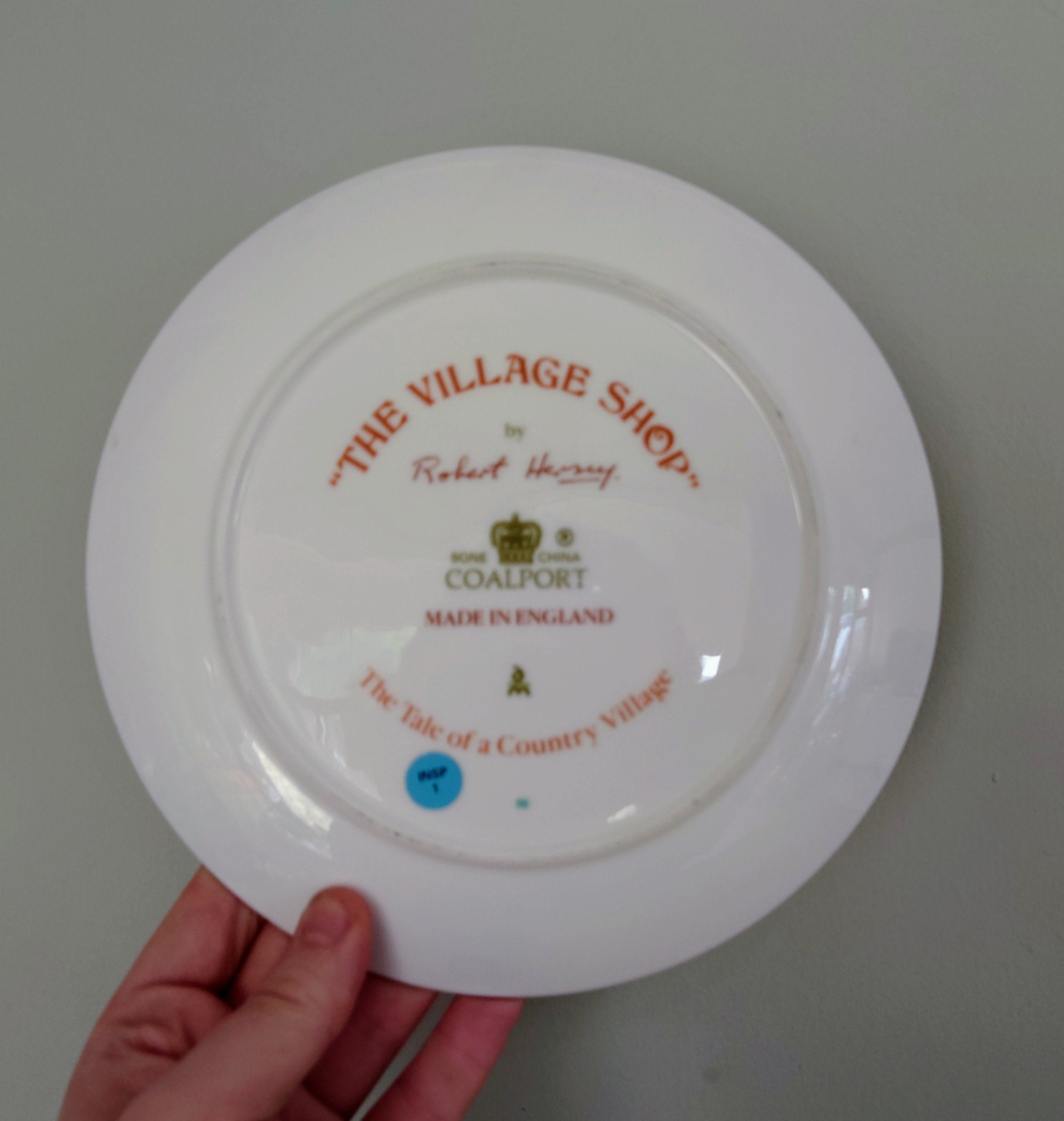 Vintage Wall Plate 'The Tale of Country Village Scene' Ceramic Plate Fine Bone China Porcelain Coalport Fine Porcelain Decorative Plate