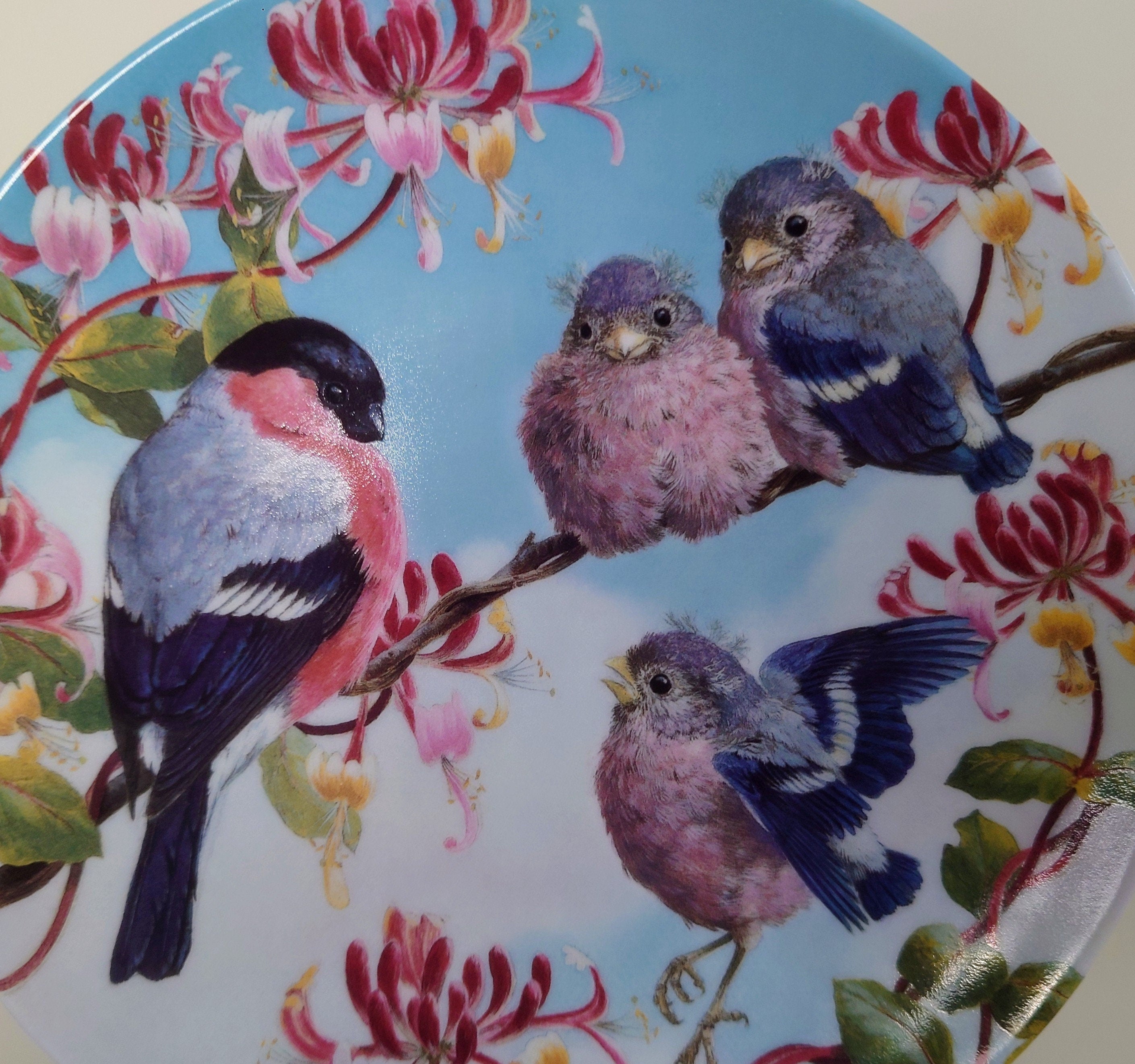Vintage Bird Decorative Robin Bird Plate Wall Ceramic Robin Plate Royal Worcester ' On the Wing'  Fine Bone China Porcelain England