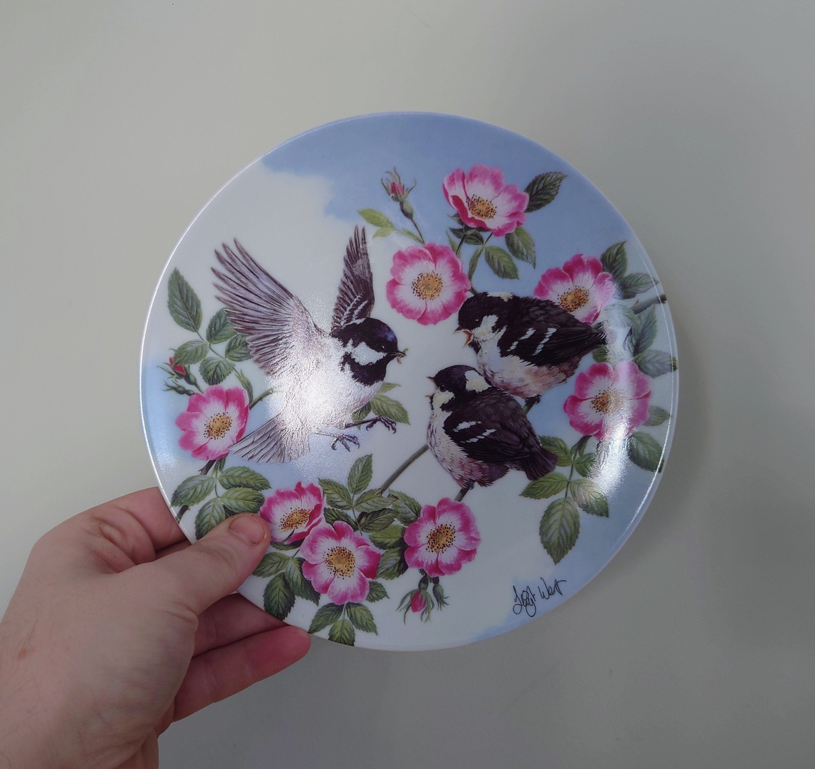 Vintage Bird Decorative Finch Bird Plate Wall Ceramic Finch Plate Royal Worcester ' Springtime Feast'  Fine Bone China Porcelain England