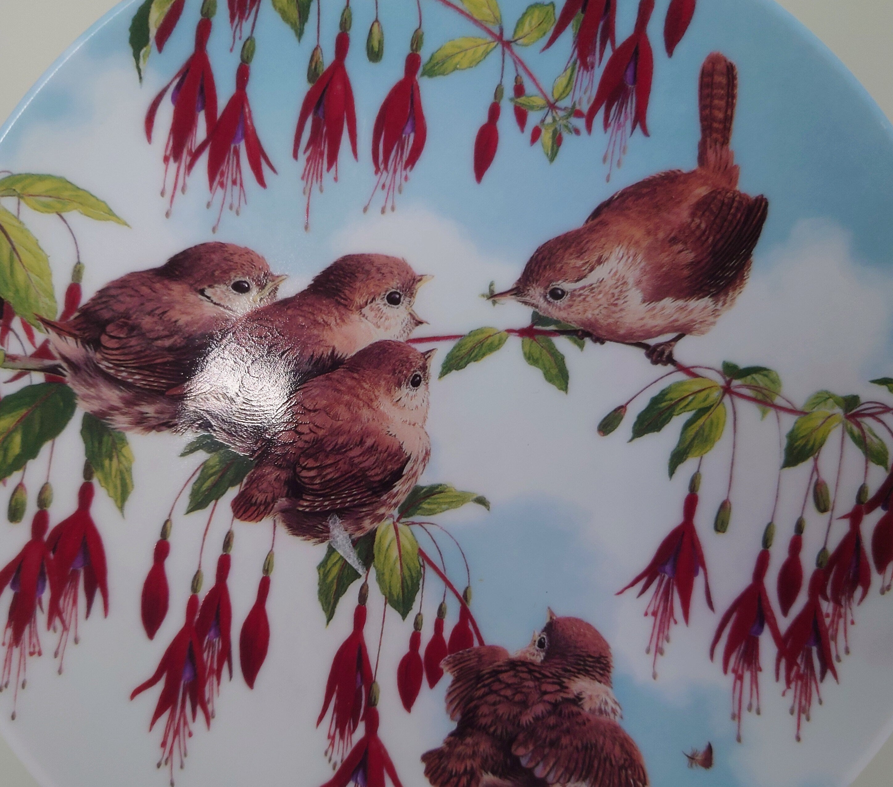 Vintage Bird Decorative Finch Bird Plate Wall Ceramic Finch Plate Royal Worcester ' Lunchtime'  Fine Bone China Porcelain England