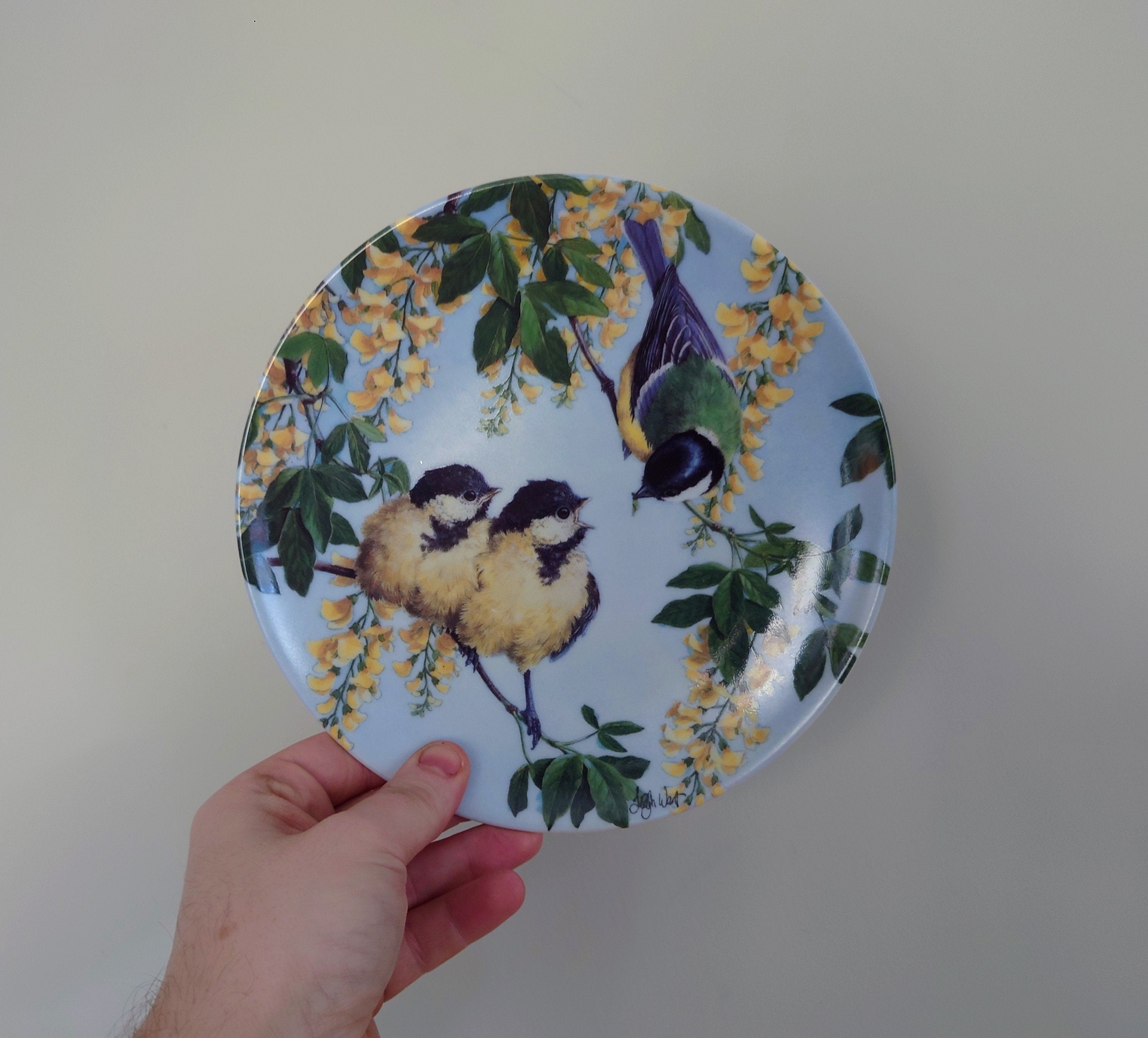 Vintage Bird Decorative Finch Bird Plate Wall Ceramic Finch Plate Royal Worcester ' Mouths to Feed'  Fine Bone China Porcelain England