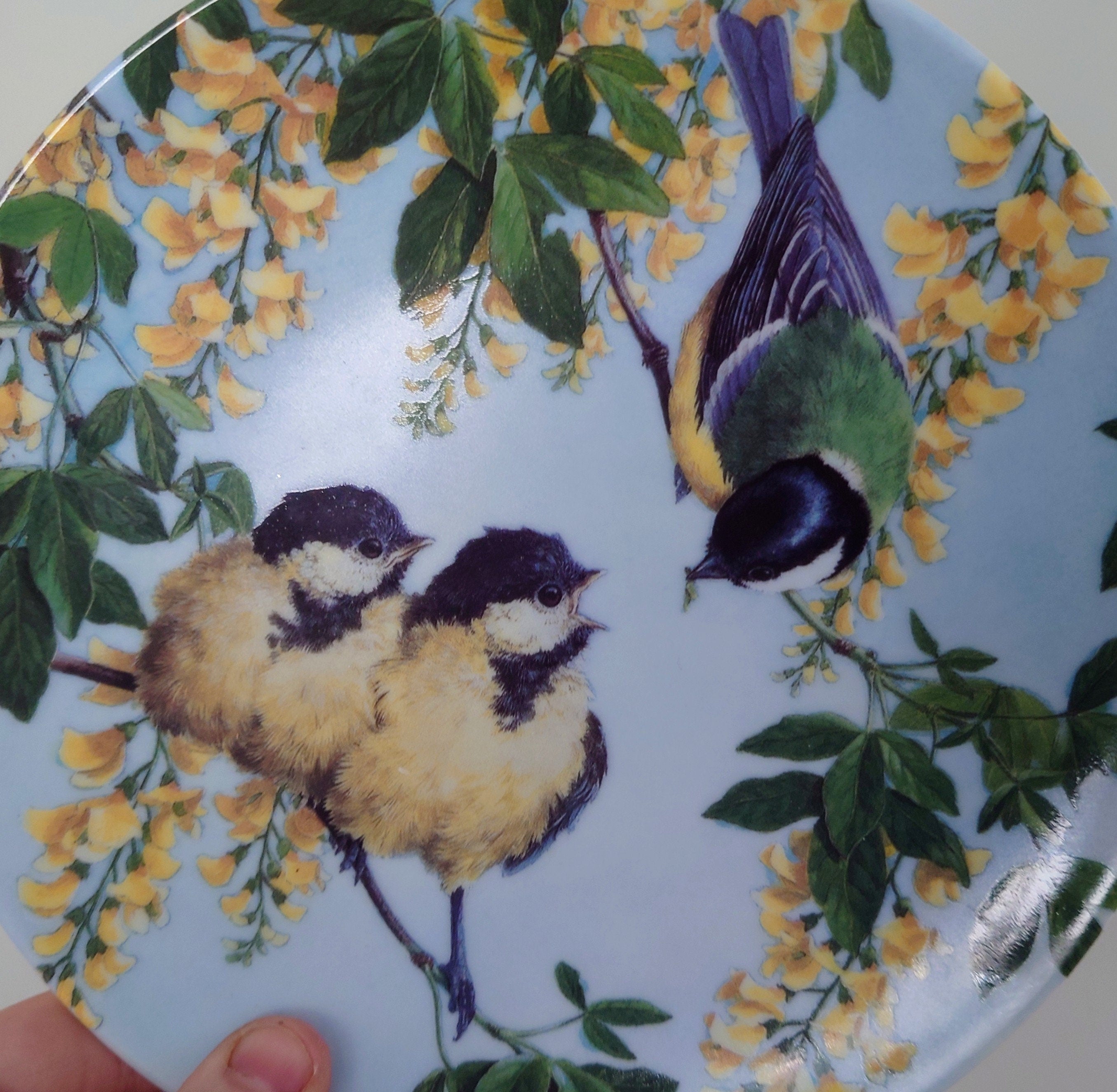 Vintage Bird Decorative Finch Bird Plate Wall Ceramic Finch Plate Royal Worcester ' Mouths to Feed'  Fine Bone China Porcelain England