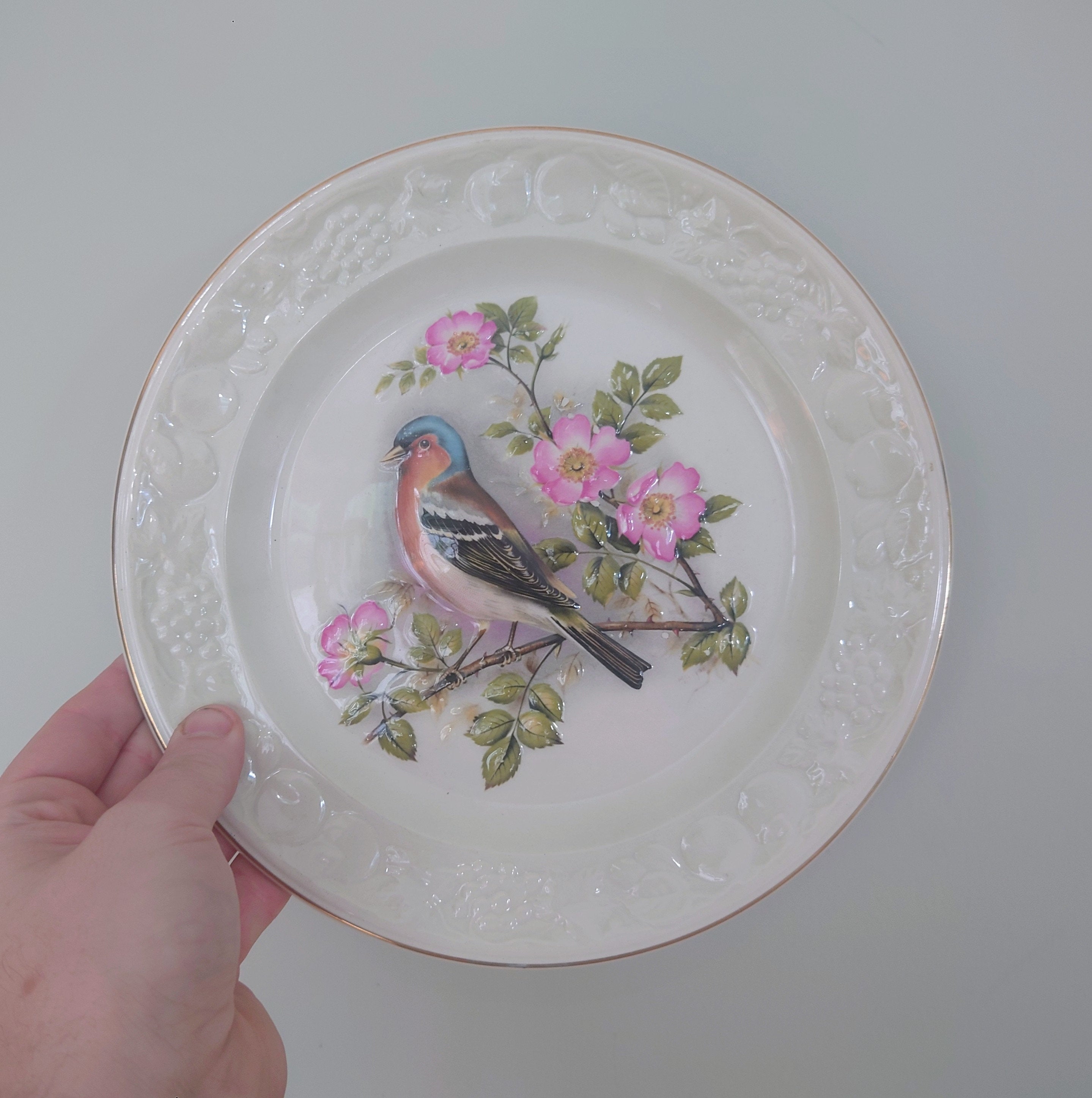 Vintage Bird Decorative Chaffinch Red Bird Plate Wall Ceramic Chaffinch Plate Royal Worcester Spode England Fine Bone China Porcelain