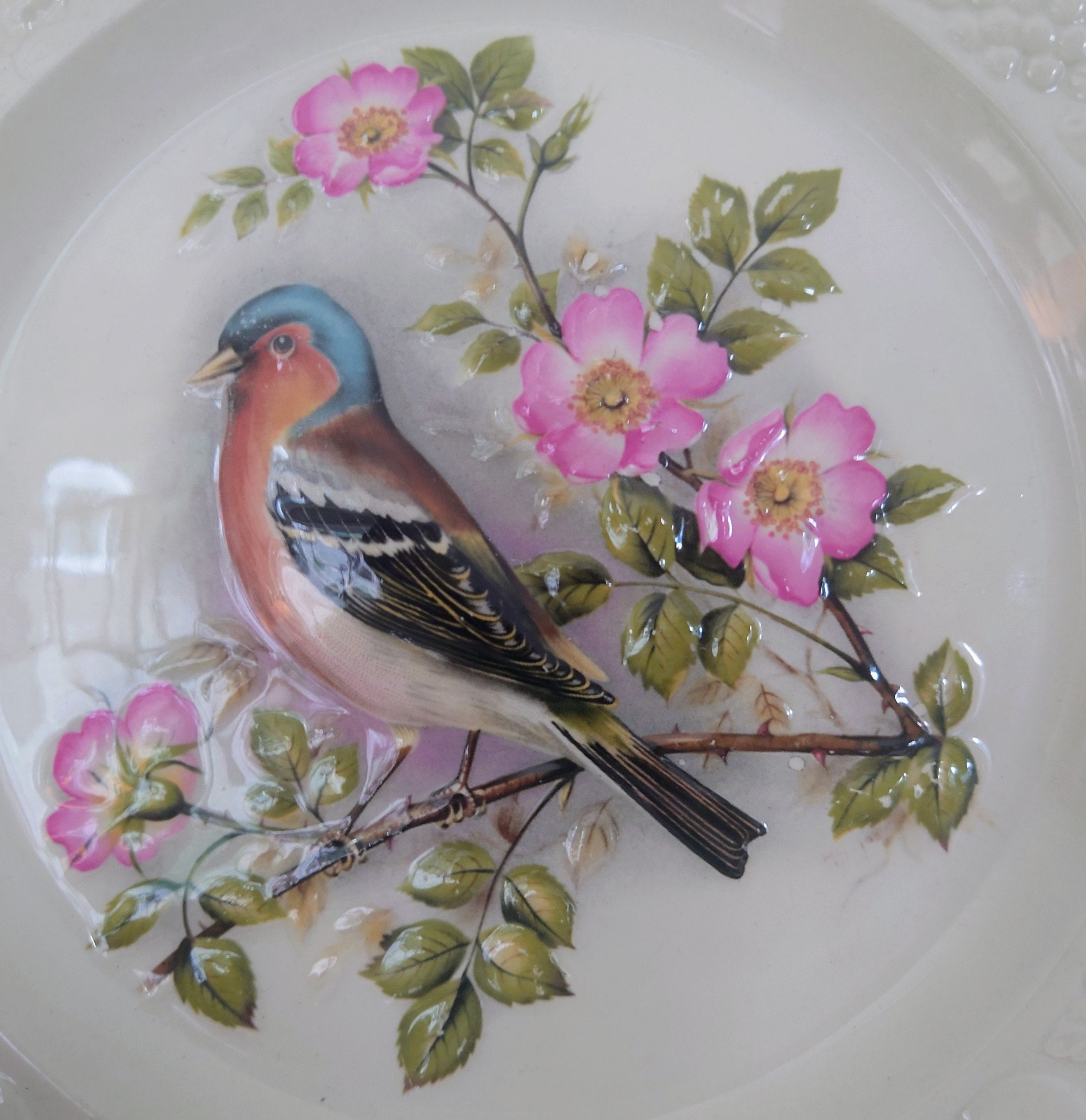 Vintage Bird Decorative Chaffinch Red Bird Plate Wall Ceramic Chaffinch Plate Royal Worcester Spode England Fine Bone China Porcelain