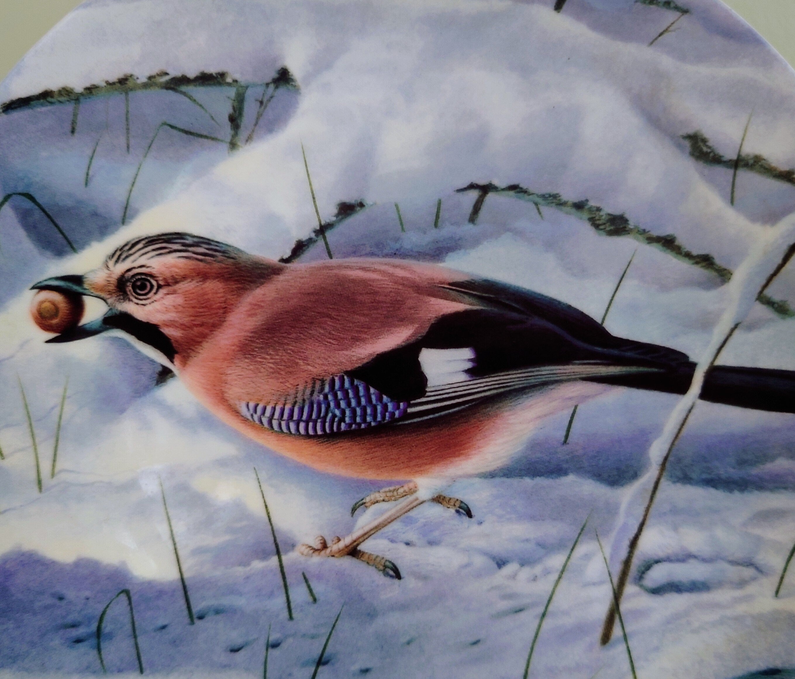 Collectable Bird Plate Porcelain  'The Gatherer' Wedgwood 'woodland Winter' Bone China Decorative Ornamental Plate 'Woodland Winter'