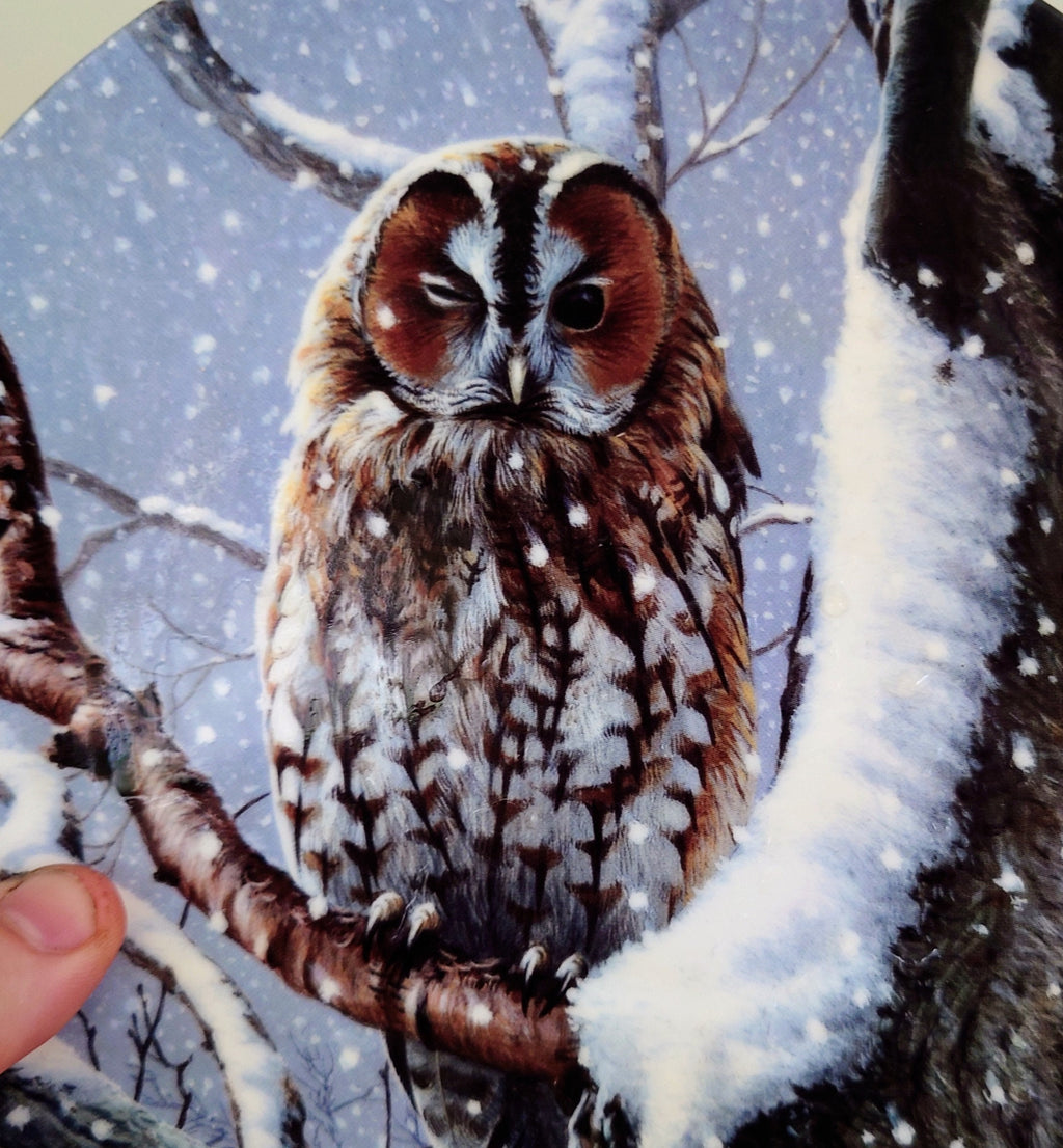 Collectable Bird Plate Porcelain Owl Plate  'I Spy' Wedgwood 'woodland Winter' Bone China Decorative Ornamental Plate 'Woodland Winter'