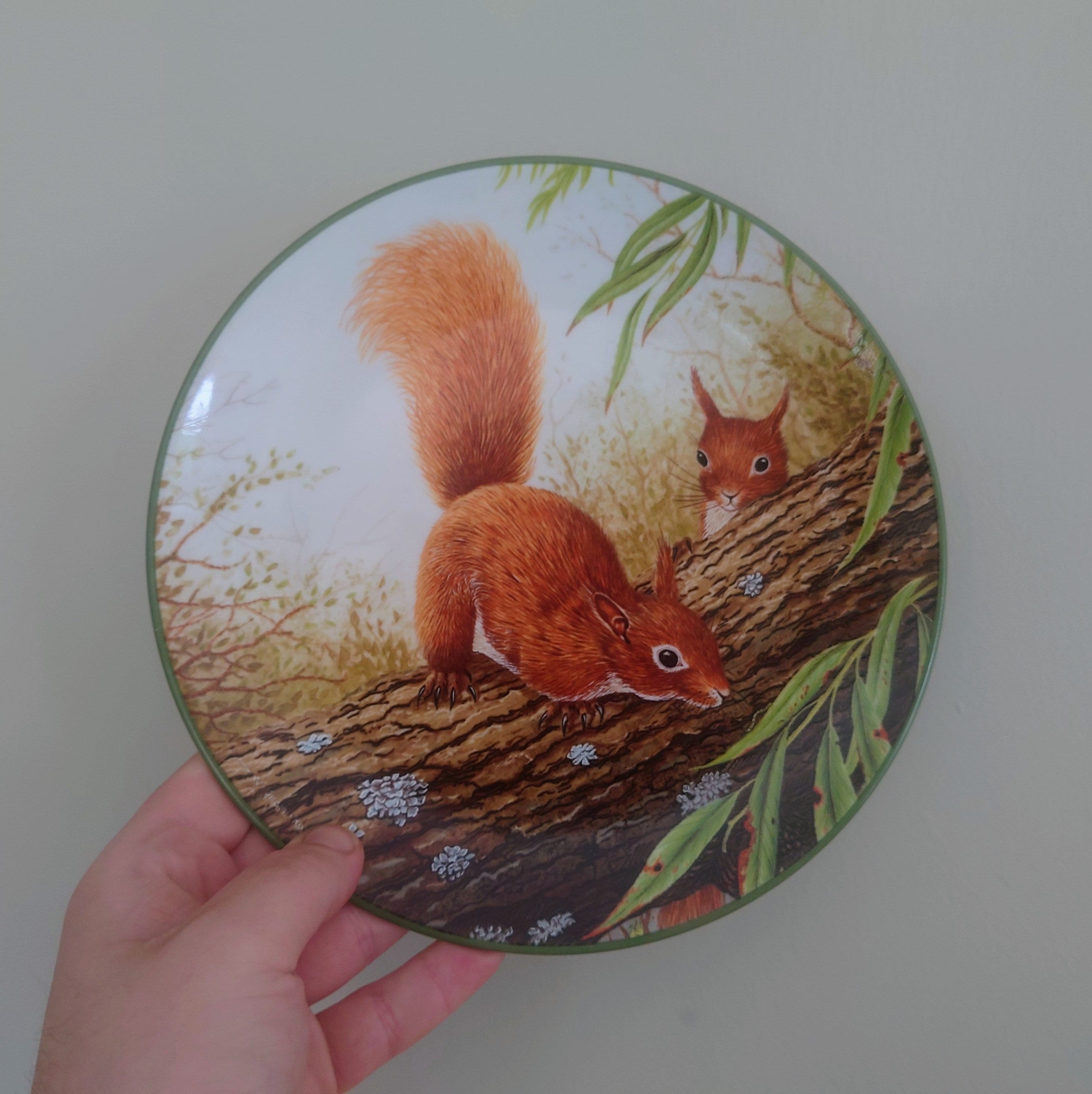 Vintage Squirrel Plate Decorative Plate Royal Doulton Collectable Wall Ceramic 'Squirrel branch' Plate Rollinson's portraits of nature Boxed