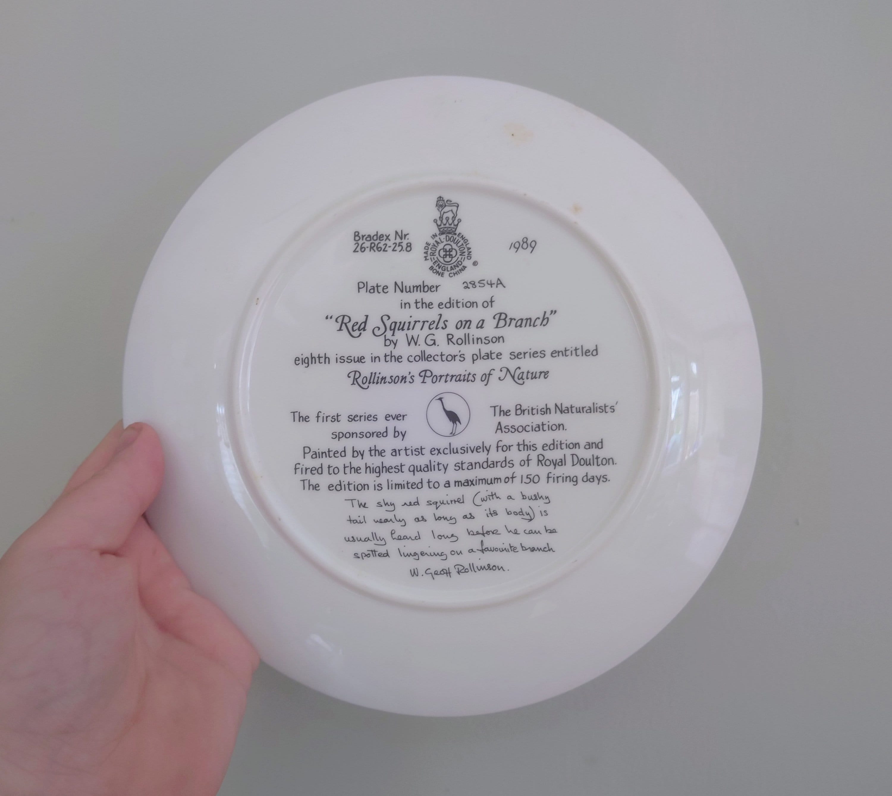 Vintage Squirrel Plate Decorative Plate Royal Doulton Collectable Wall Ceramic 'Squirrel branch' Plate Rollinson's portraits of nature Boxed