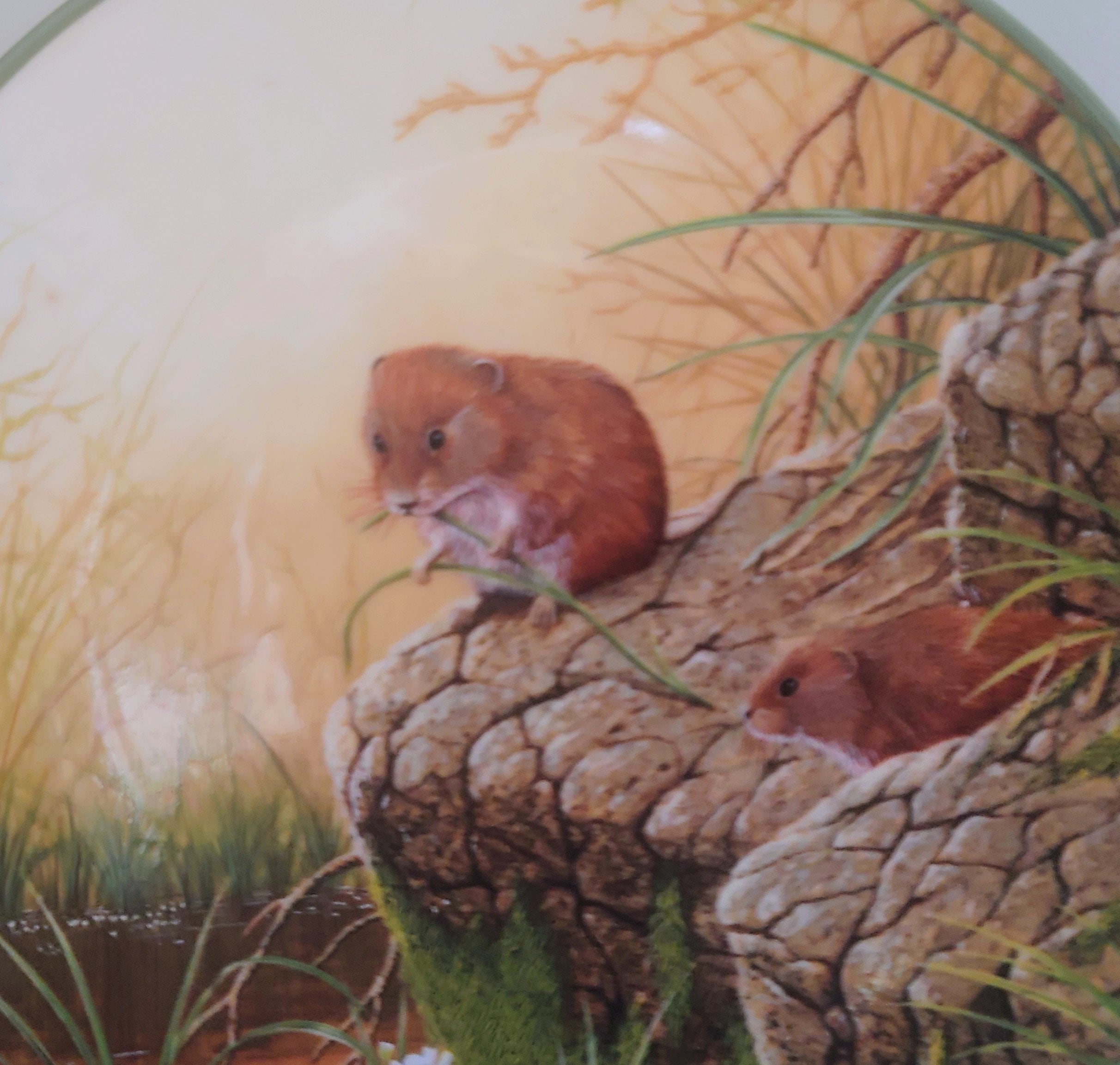 Vintage Voles Animal Plate Decorative Plate Royal Doulton Collectable Wall Ceramic 'Voles' Plate Rollinson's portraits of nature Boxed