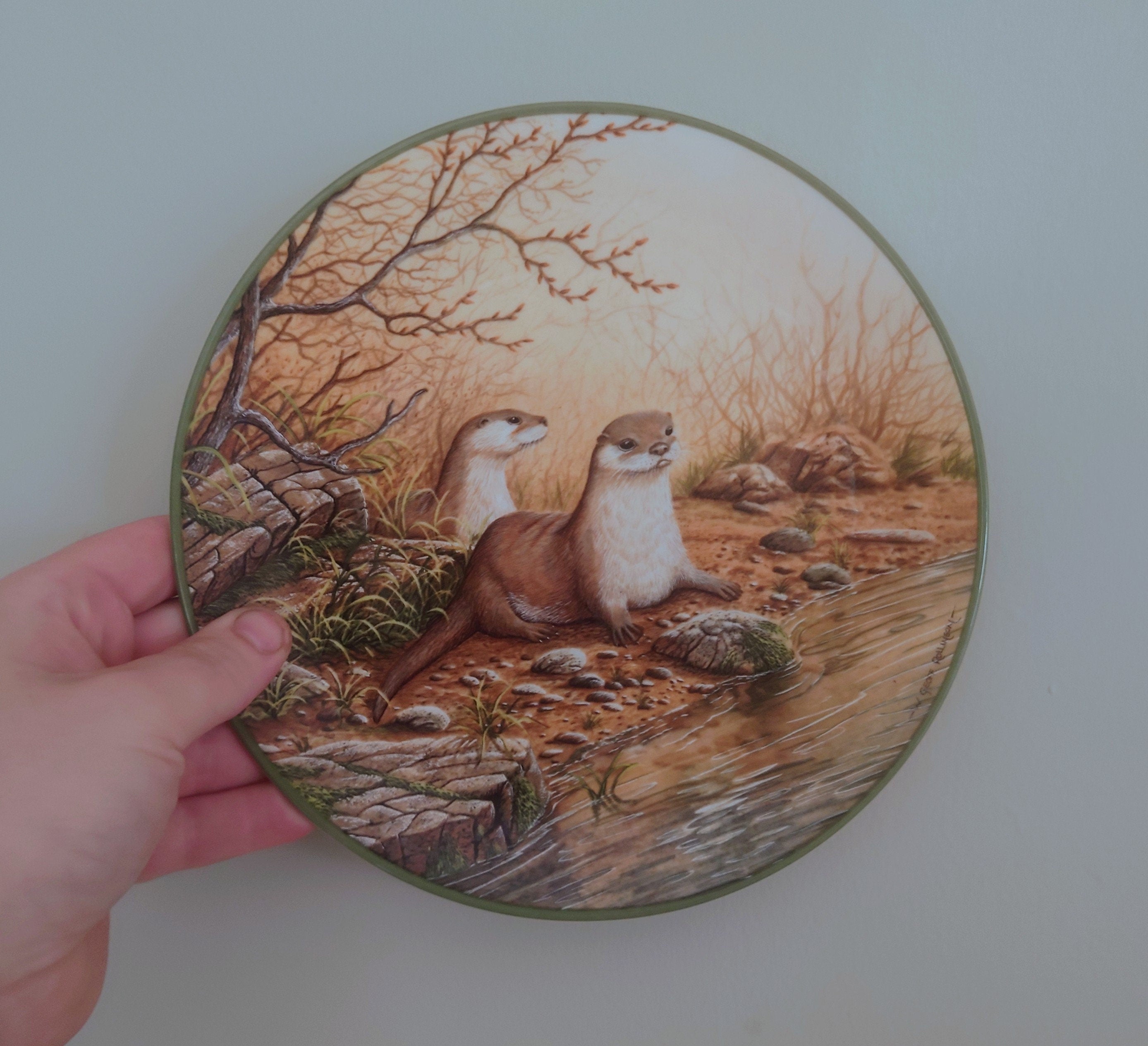 Vintage Otter  Animal Plate Decorative Plate Royal Doulton Collectable Wall Ceramic 'Otter Pair' Plate Rollinson's portraits of nature Boxed