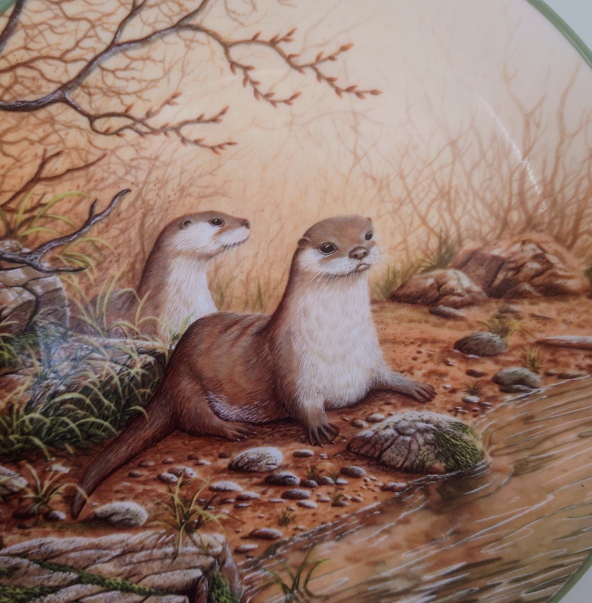 Vintage Otter  Animal Plate Decorative Plate Royal Doulton Collectable Wall Ceramic 'Otter Pair' Plate Rollinson's portraits of nature Boxed