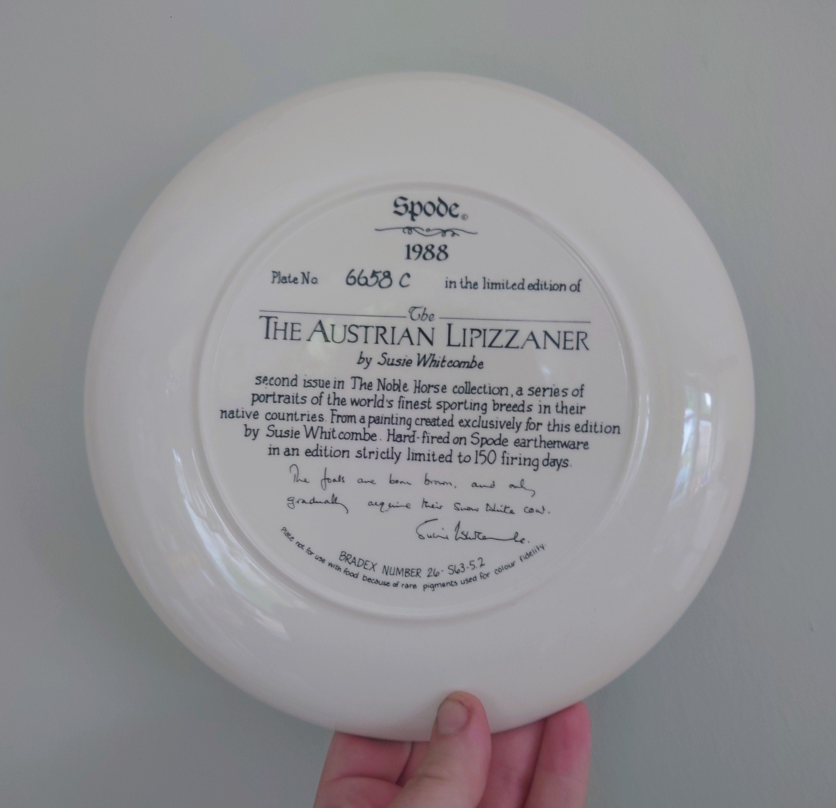 Vintage Horse Wall Plate Spode 'The Nobel Horse Collection' Fine Bone China Decorative Plate Collectable Spode Horse Boxed Plate 1988