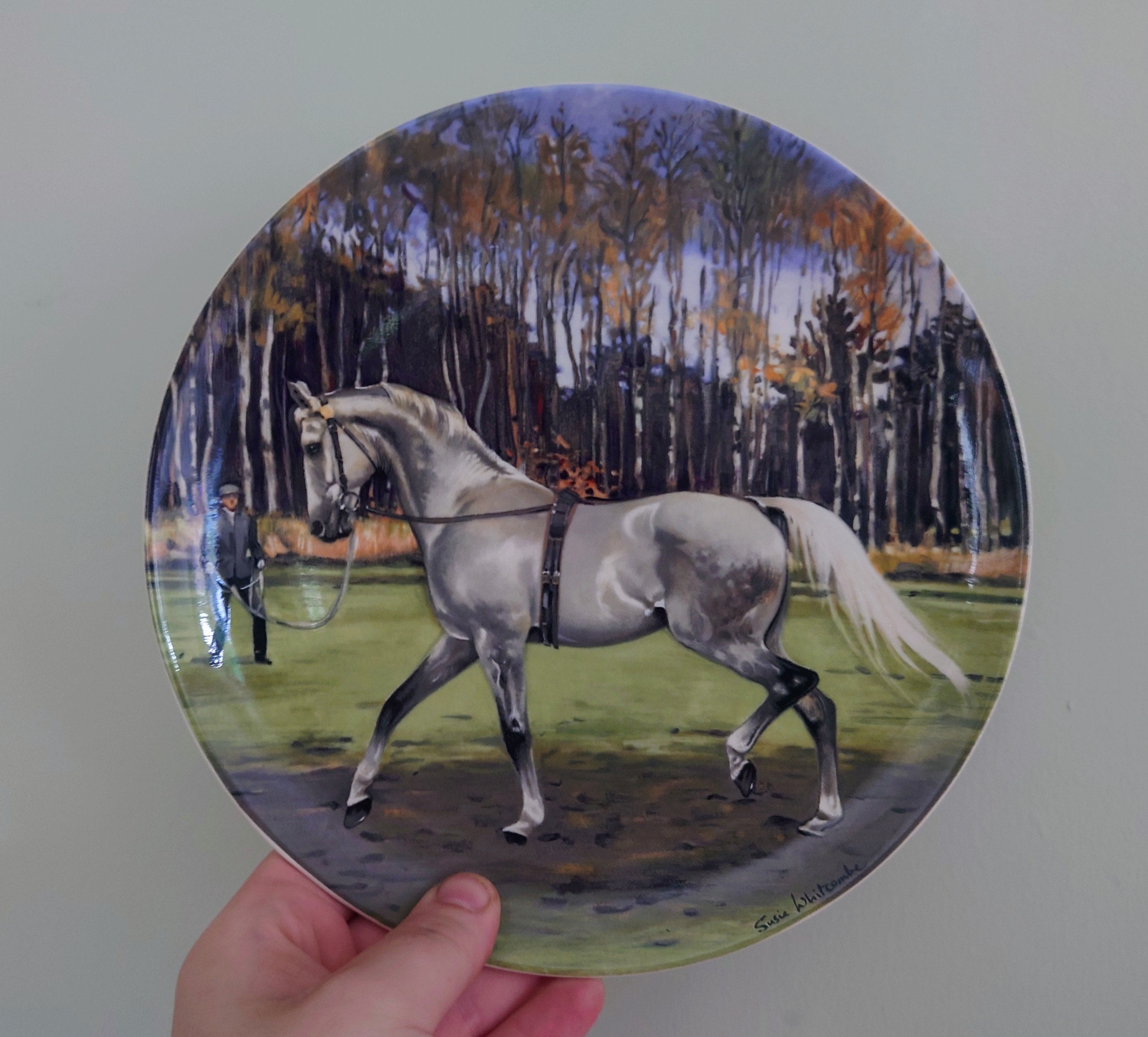 Vintage Horse Wall Plate Spode 'The Nobel Horse Collection' Fine Bone China Decorative Plate Collectable Spode Horse Boxed Plate 1988