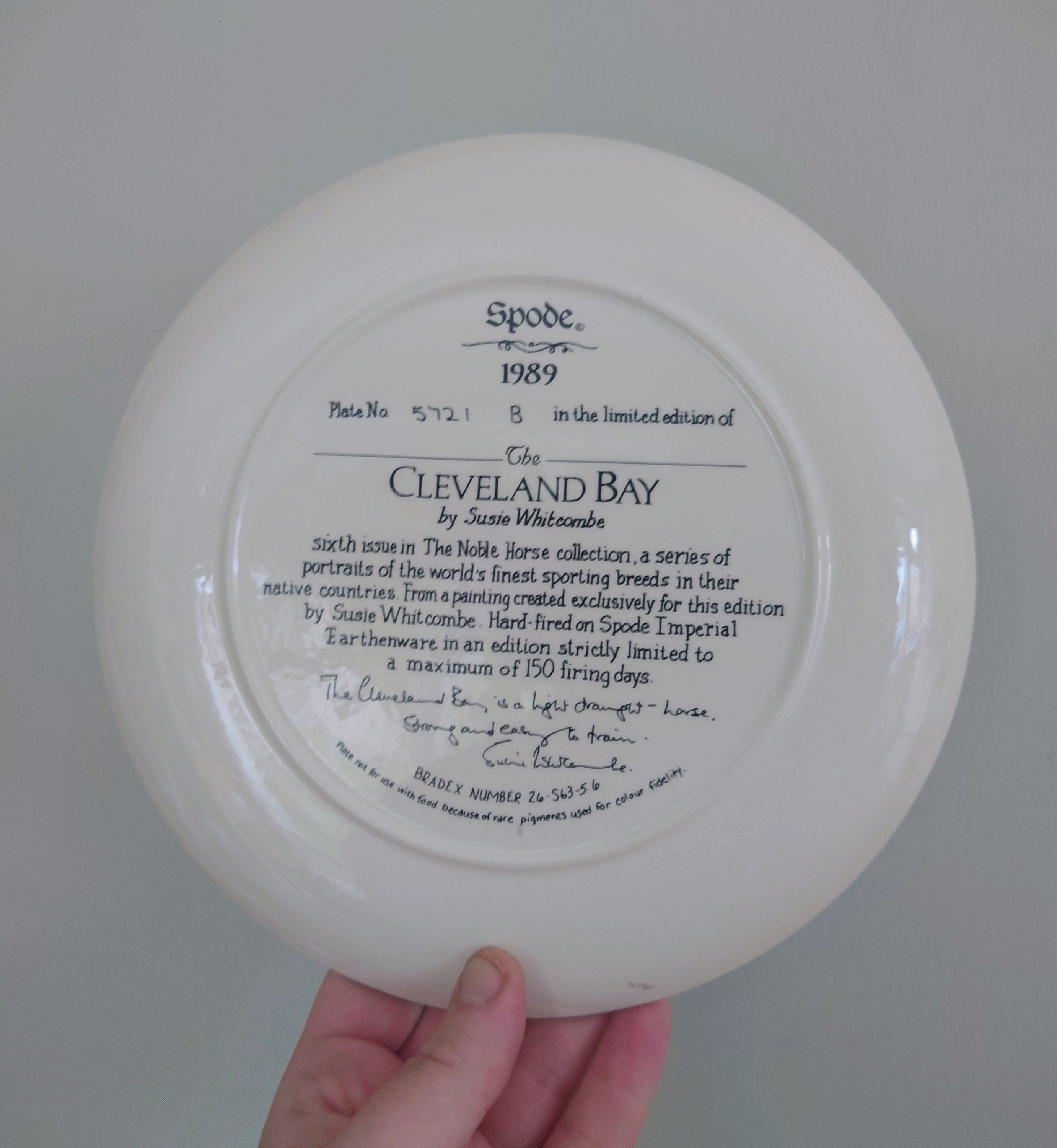 Vintage Horse Wall Plate Spode 'The Nobel Horse Collection' Fine Bone China Decorative Plate Collectable Spode Horse Boxed Plate 1988