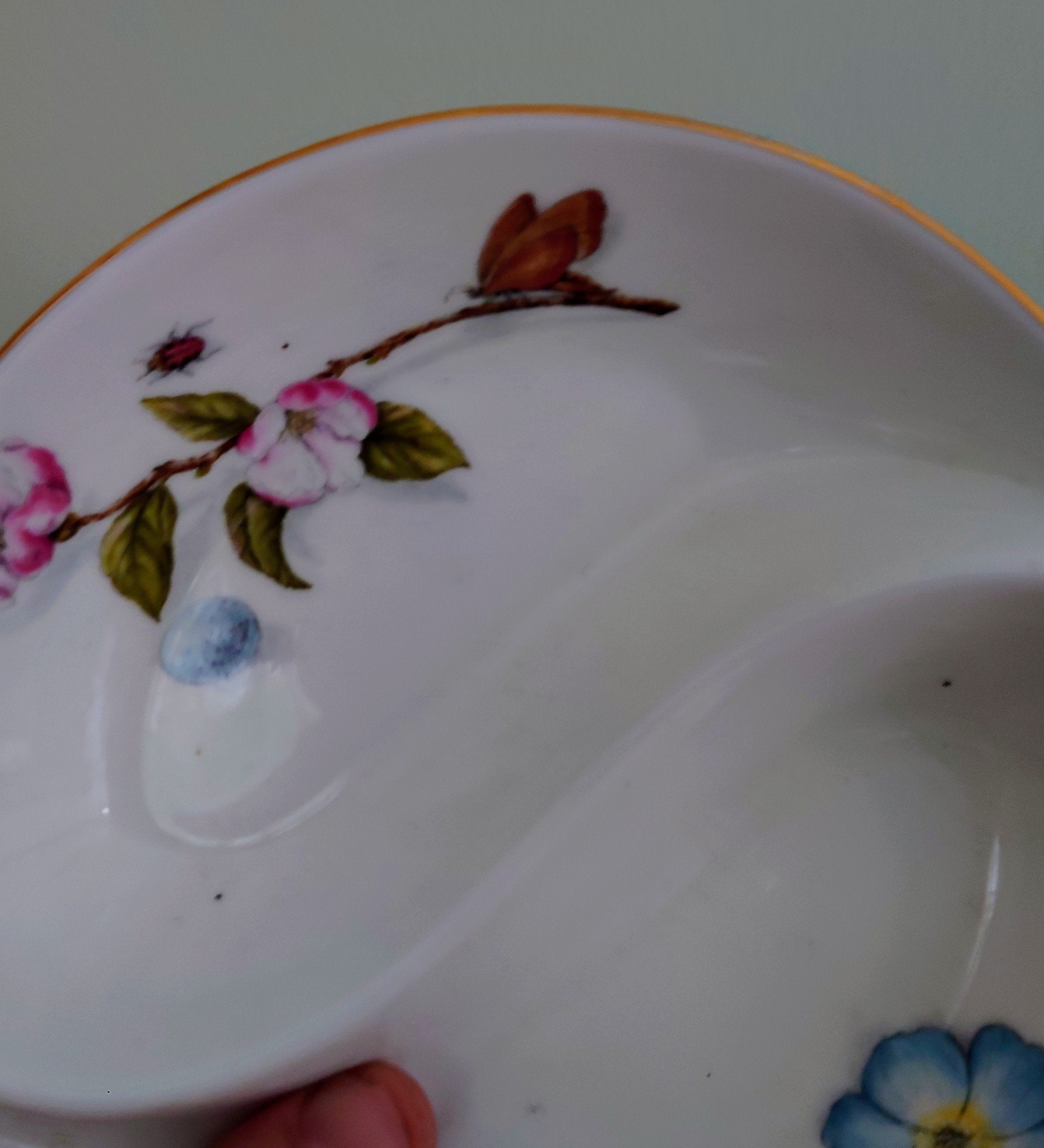 Aynsley  Snack Dish 2-Part Relish Pickle Dish Natures Delight's Fine Bone China Porcelain Made in England Pattern Collectable Gift Vintage