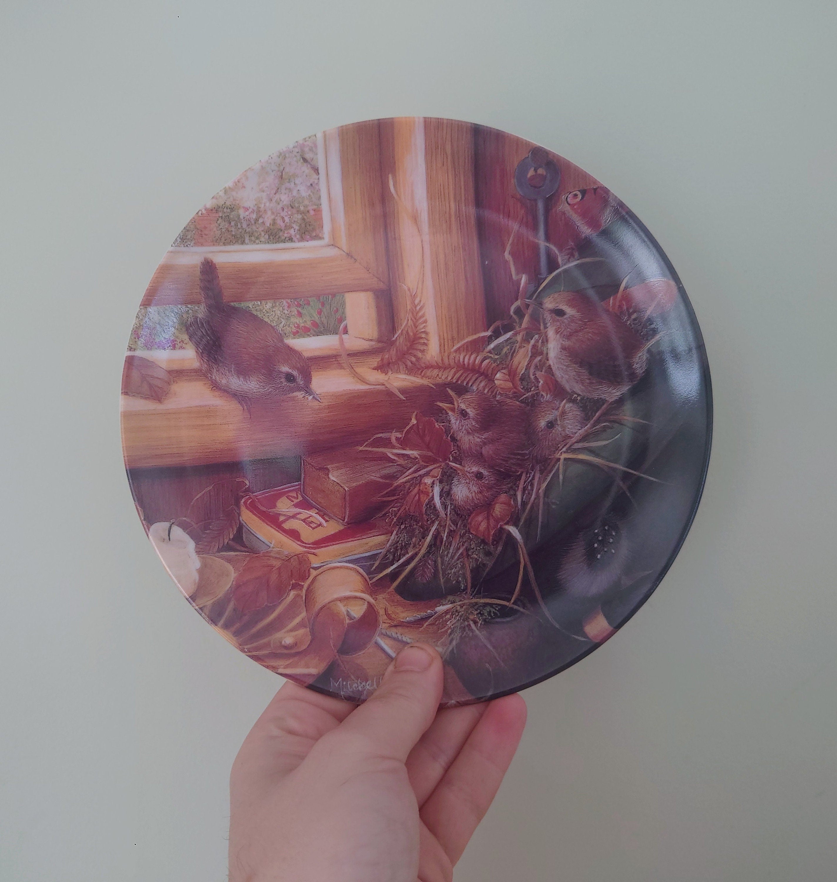 Vintage Bird Decorative Finch Bird Plate Wall Ceramic Finch Plate Coalport' Feeding Time' Fine Bone China Porcelain England