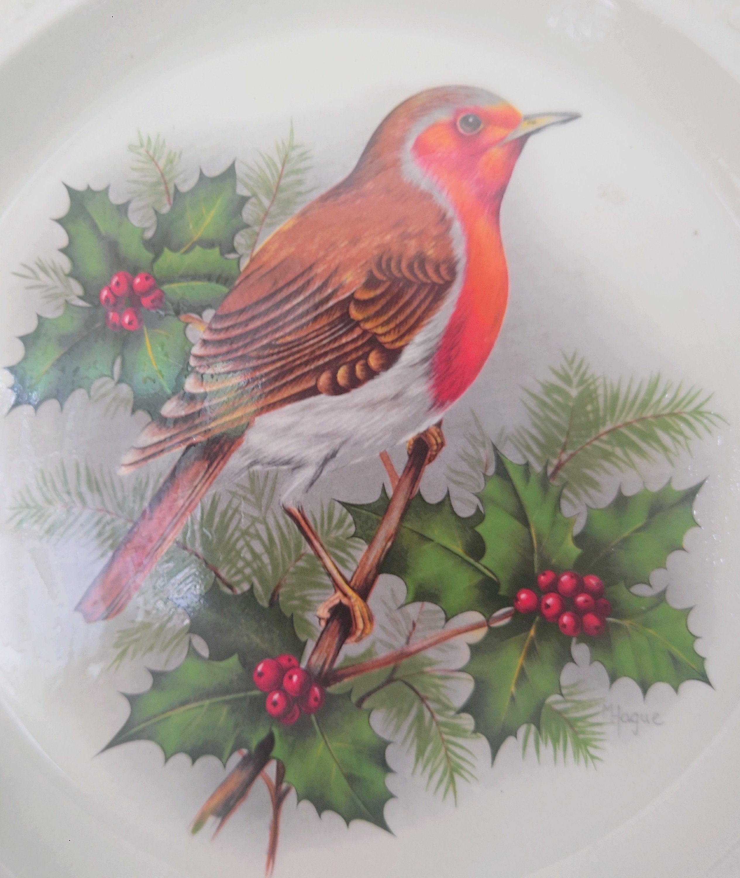 Vintage Bird Decorative Robin Red Bird Plate Wall Ceramic Robin Plate Royal Worcester Made in England Fine Bone China Porcelain