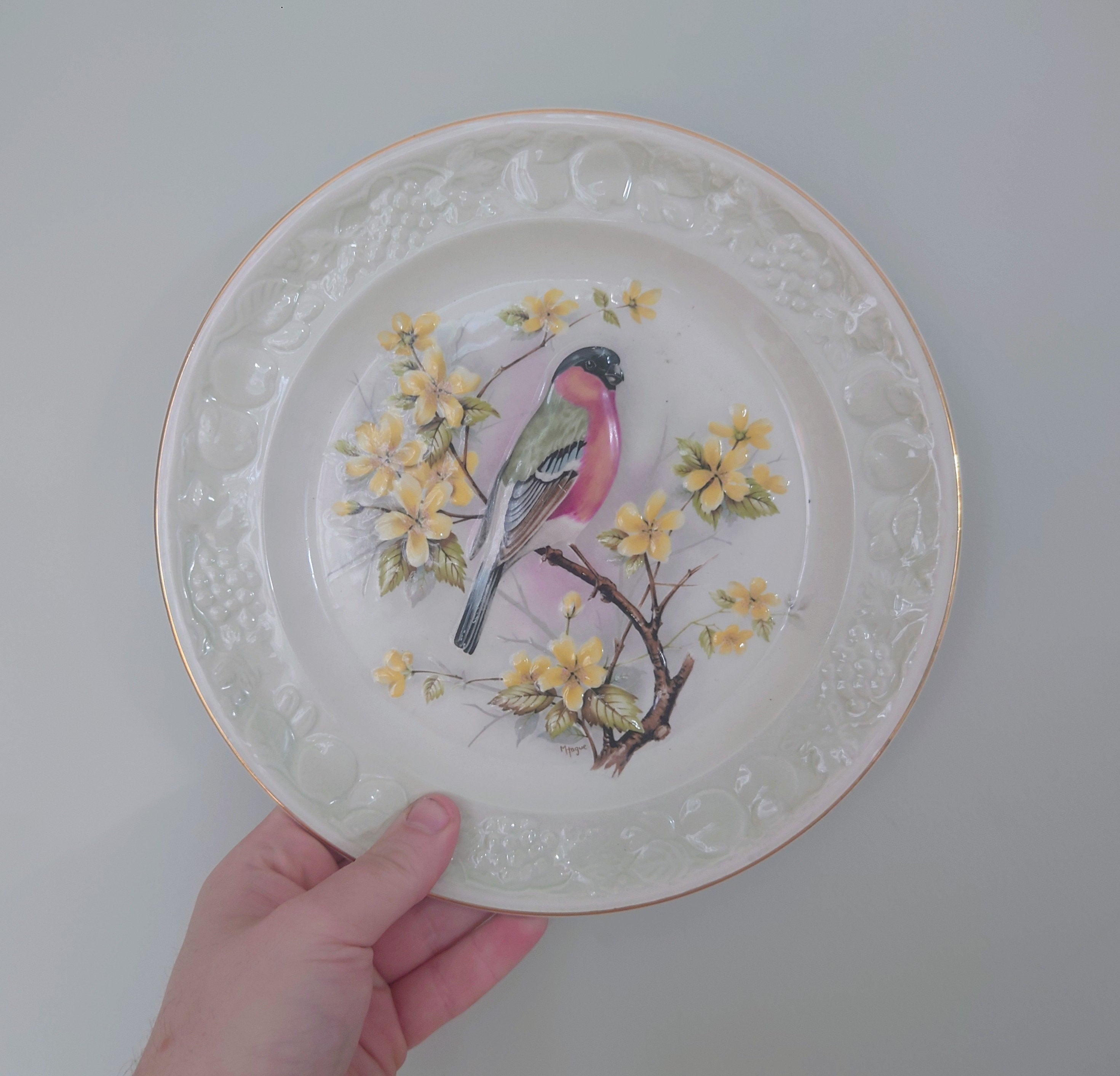 Vintage Bird Decorative Bullfinch Red Bird Plate Wall Ceramic Bullfinch Plate Royal Worcester Spode England Fine Bone China Porcelain
