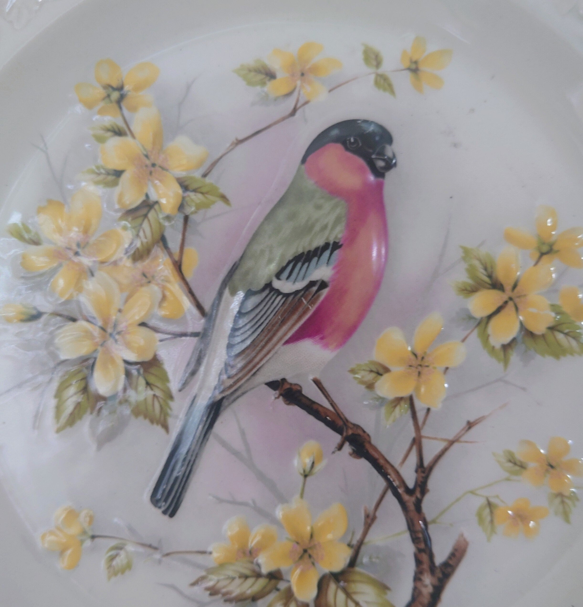Vintage Bird Decorative Bullfinch Red Bird Plate Wall Ceramic Bullfinch Plate Royal Worcester Spode England Fine Bone China Porcelain
