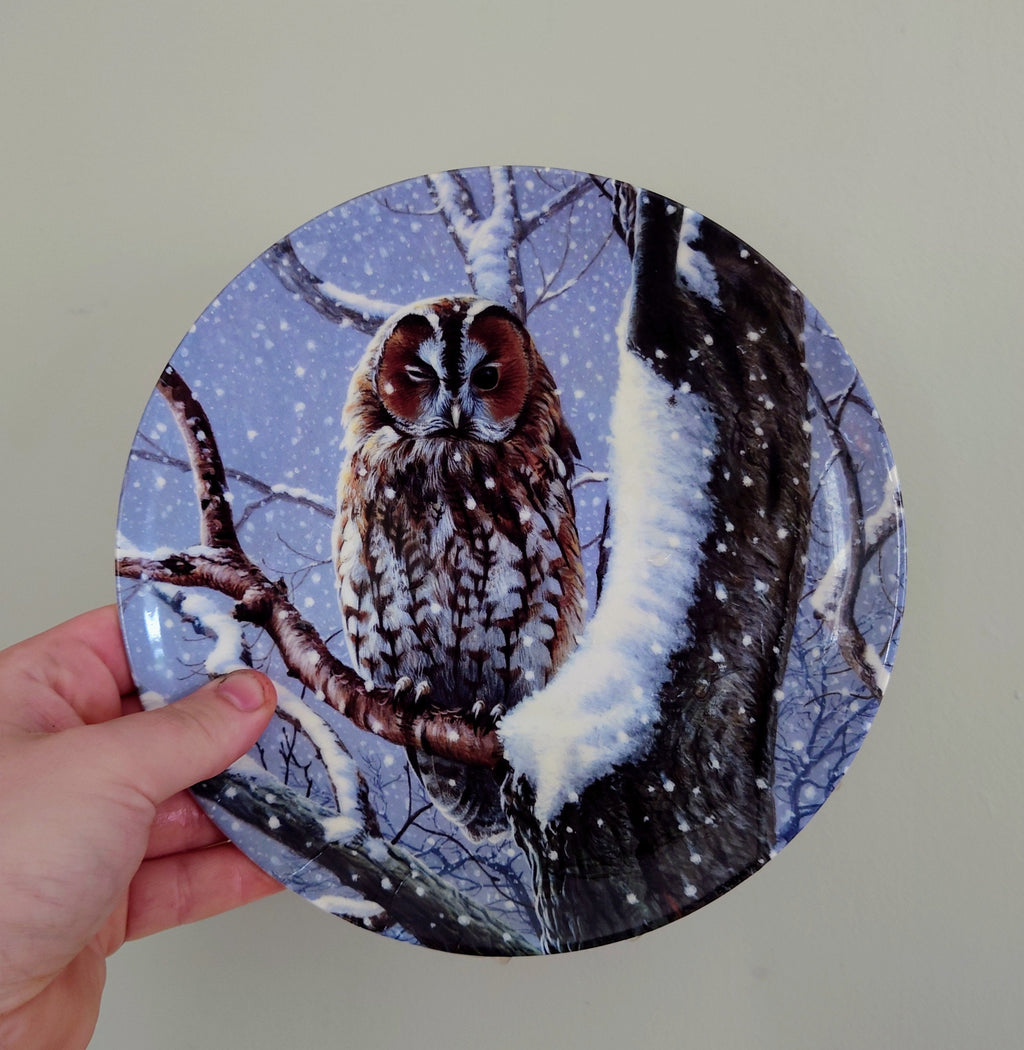 Collectable Bird Plate Porcelain Owl Plate  'I Spy' Wedgwood 'woodland Winter' Bone China Decorative Ornamental Plate 'Woodland Winter'