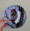 Collectable Bird Plate Porcelain Owl Plate  'I Spy' Wedgwood 'woodland Winter' Bone China Decorative Ornamental Plate 'Woodland Winter'