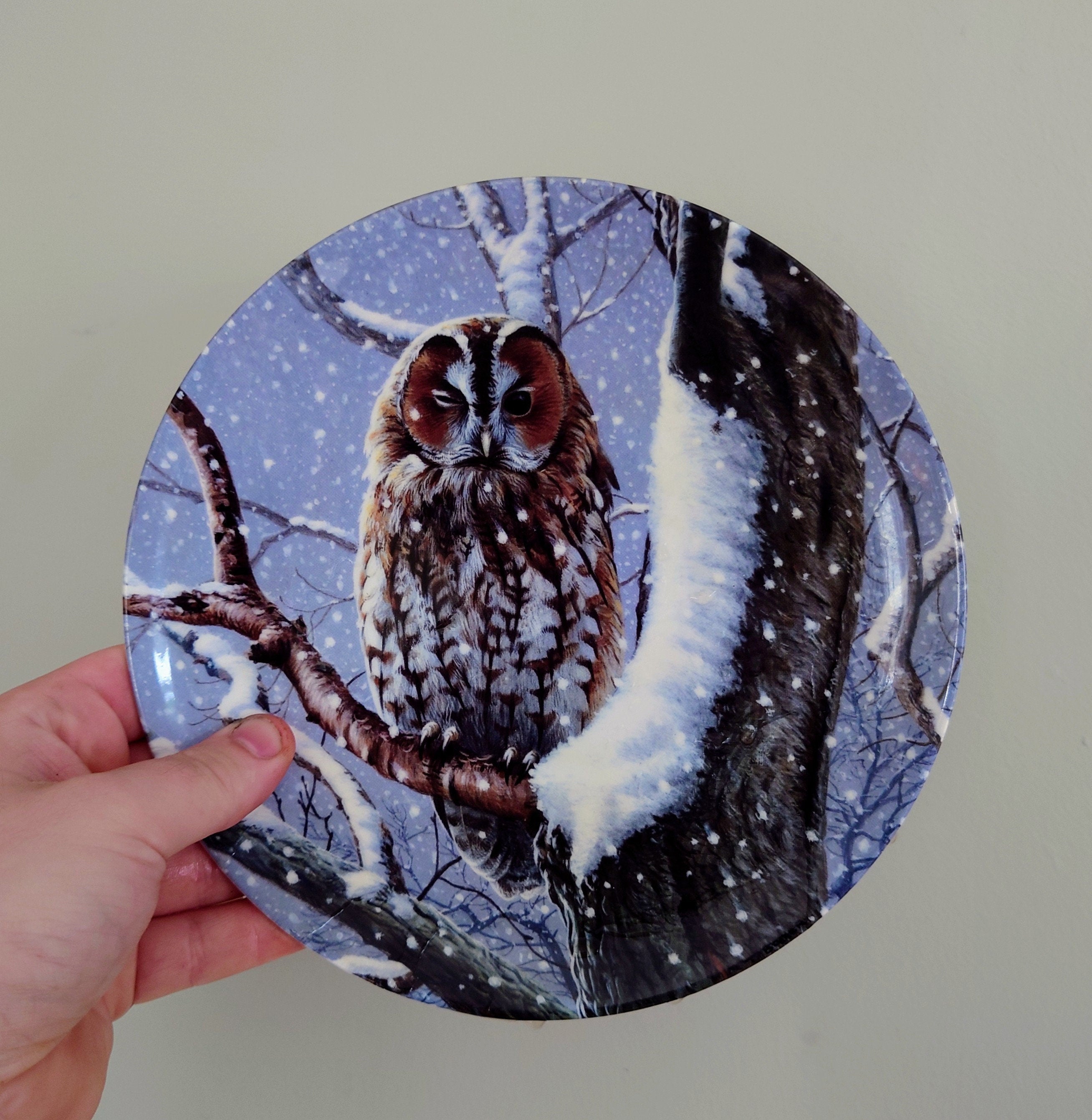 Collectable Bird Plate Porcelain Owl Plate  'I Spy' Wedgwood 'woodland Winter' Bone China Decorative Ornamental Plate 'Woodland Winter'