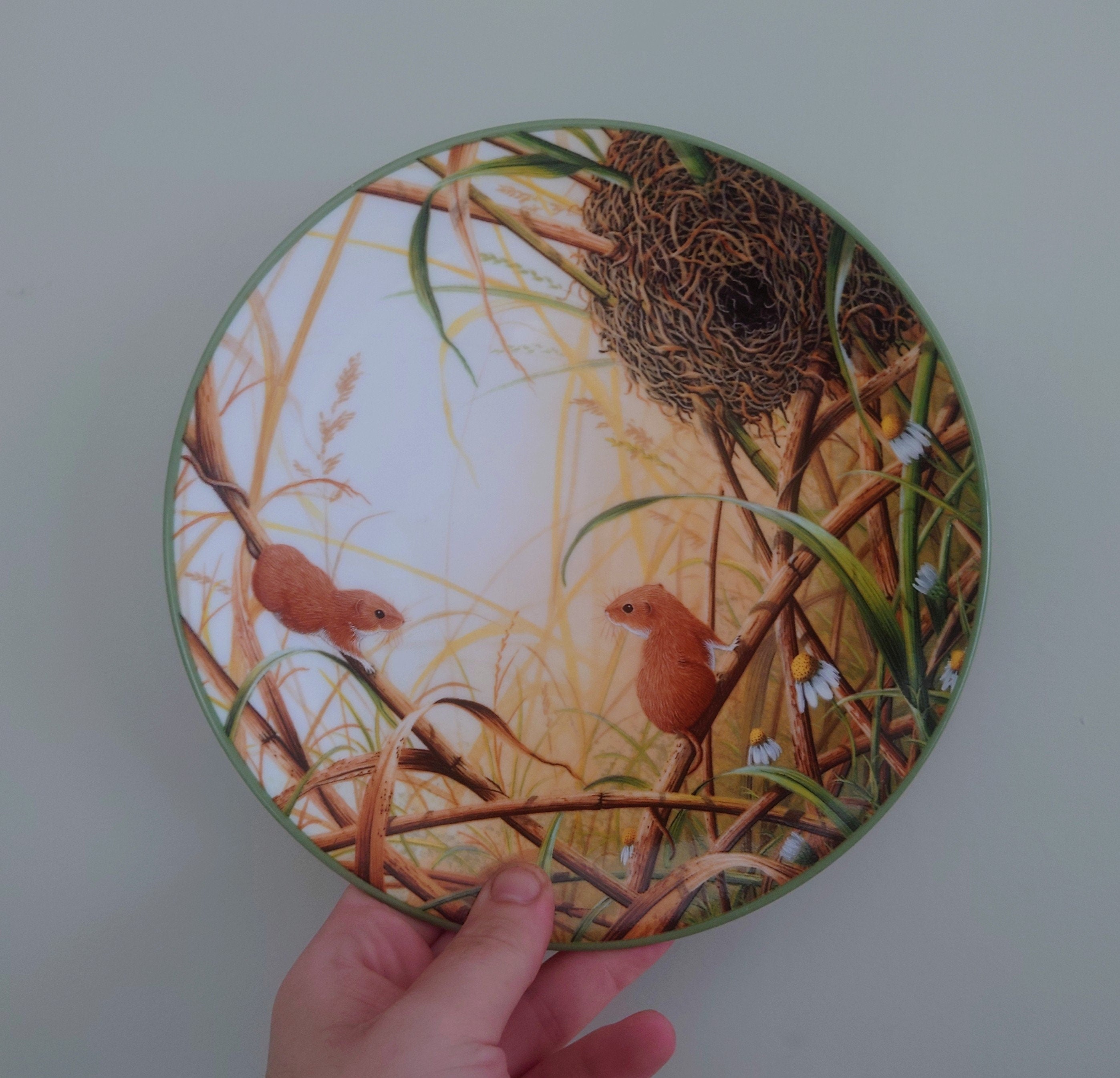 Vintage Mice Plate Decorative Plate Royal Doulton Collectable Wall Ceramic 'Squirrel branch' Plate Rollinson's portraits of nature Boxed