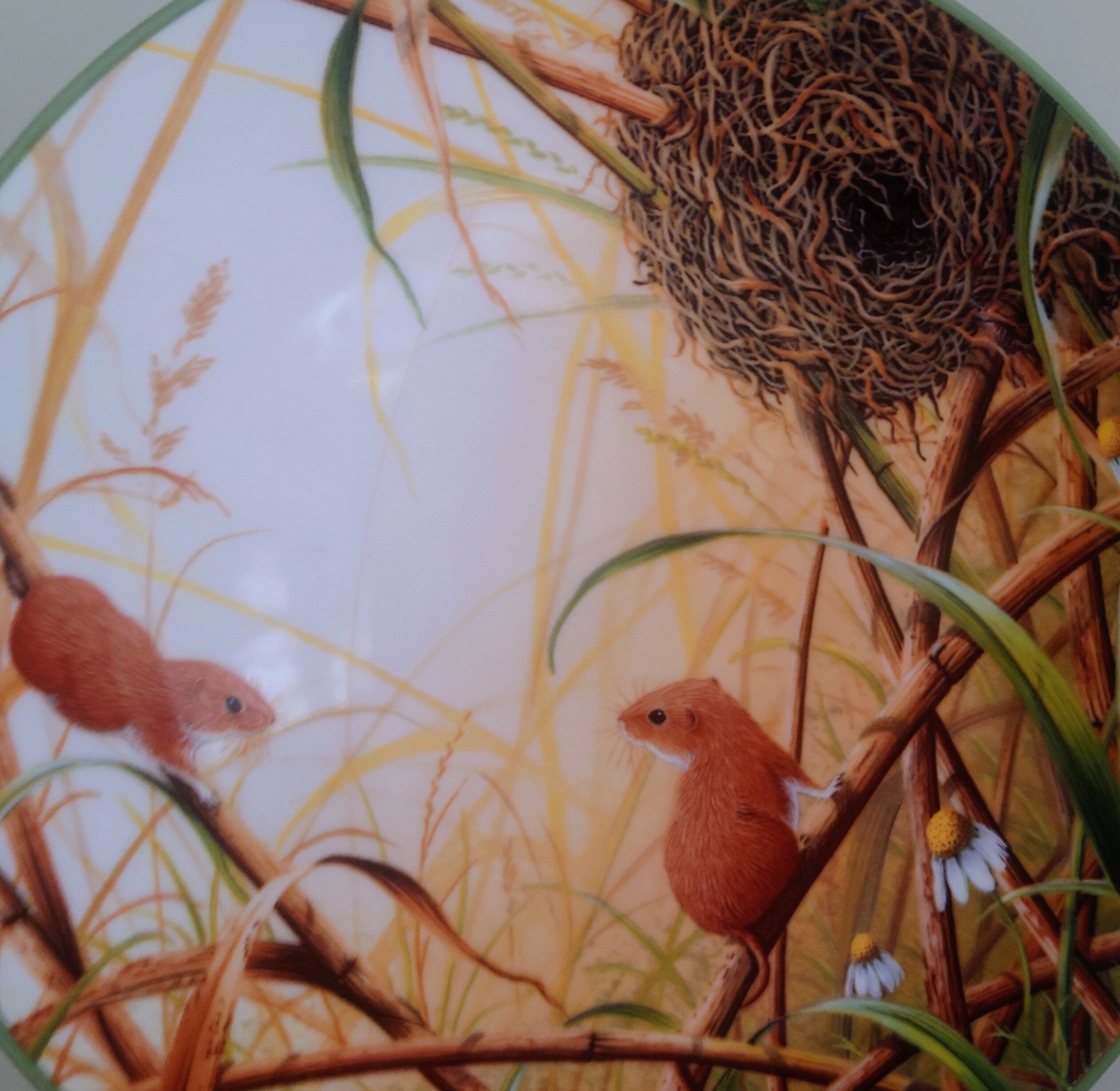 Vintage Mice Plate Decorative Plate Royal Doulton Collectable Wall Ceramic 'Squirrel branch' Plate Rollinson's portraits of nature Boxed